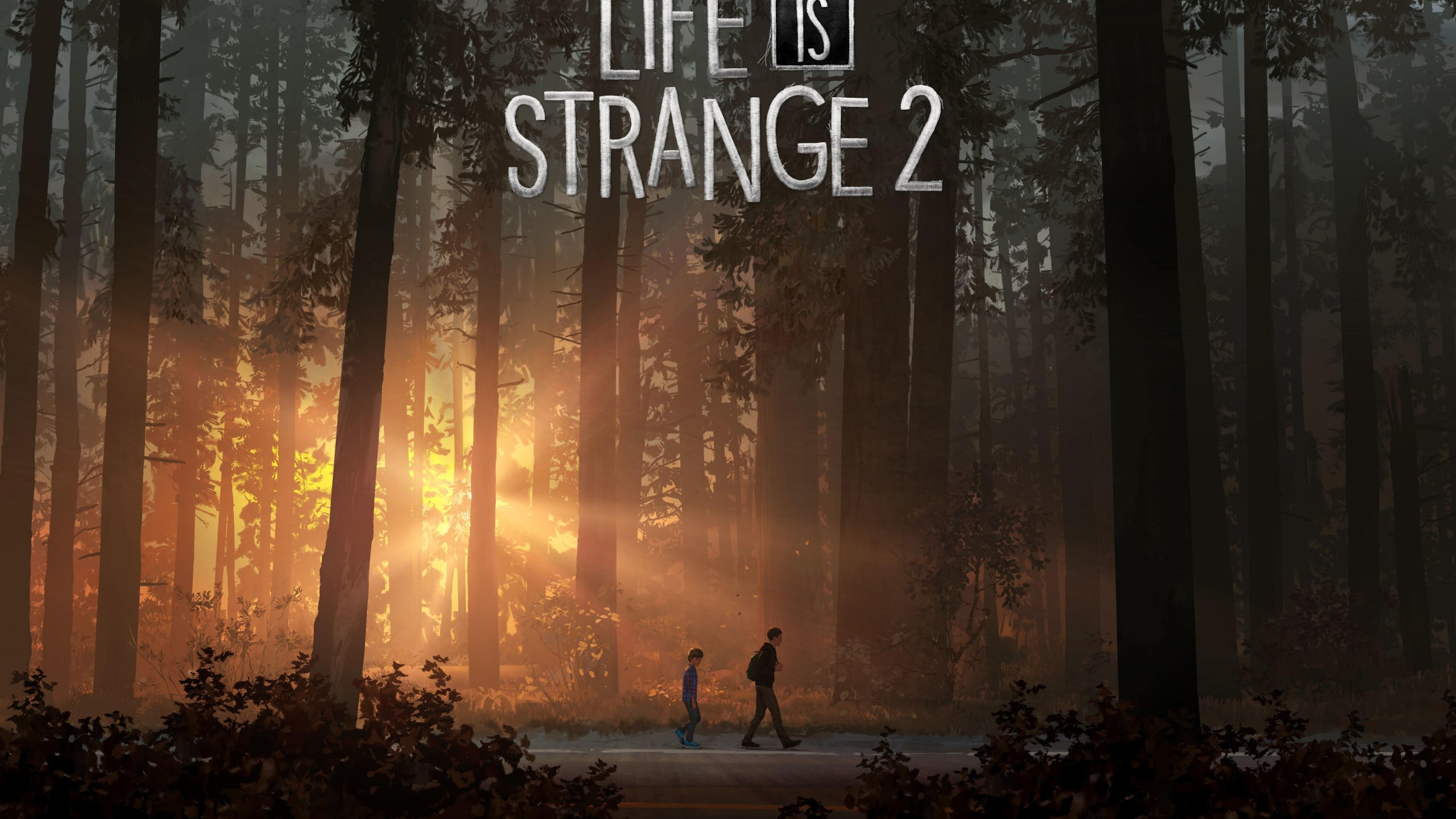 Life is strange 2 2560x1440 gamescom 2018 poster 7k