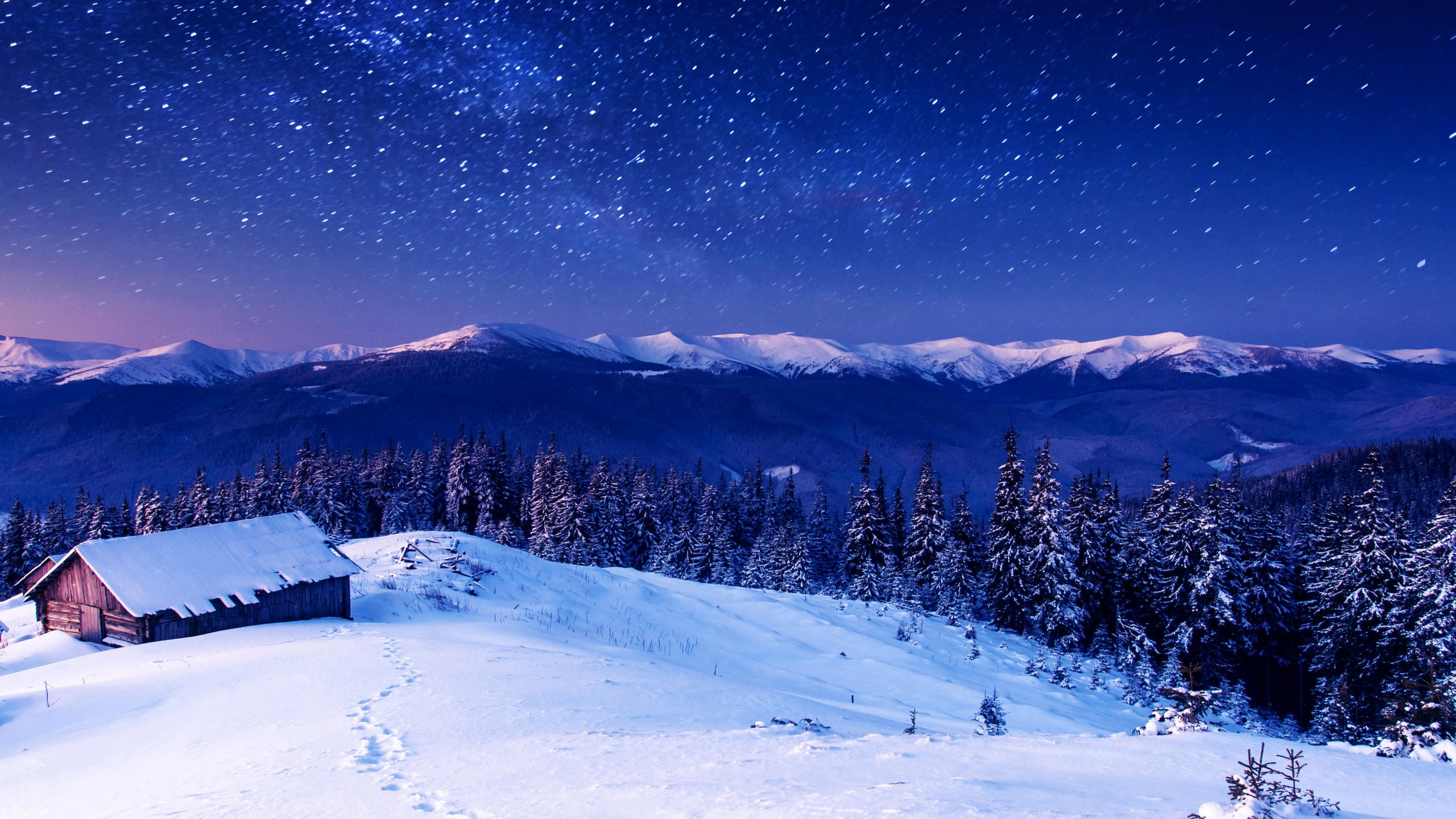 Mountains 2560x1440 5k 4k wallpaper 8k night stars trees sky snow