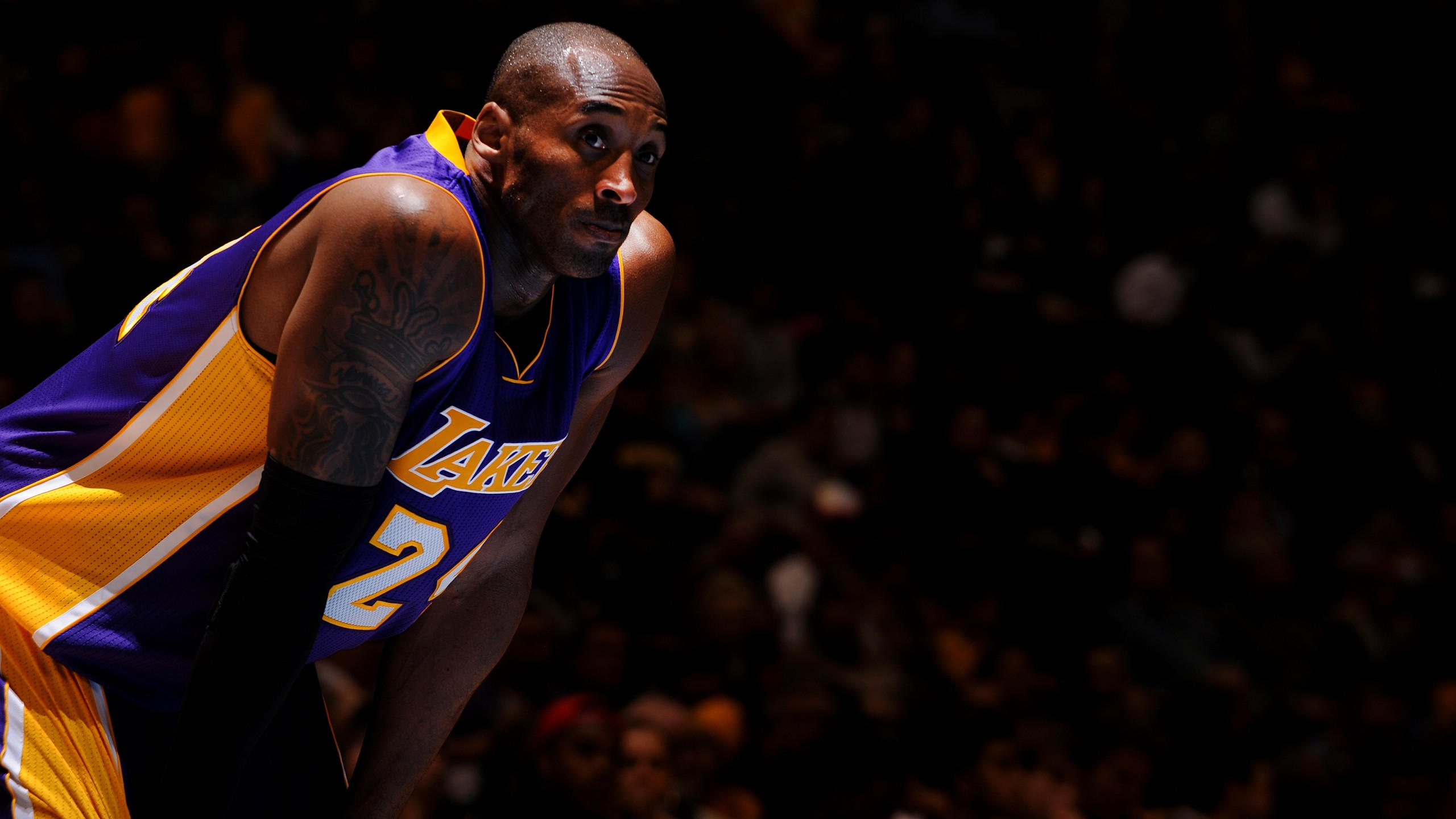 Nba 2560x1440 kobe bryant best basketball players of 2015 los angeles
