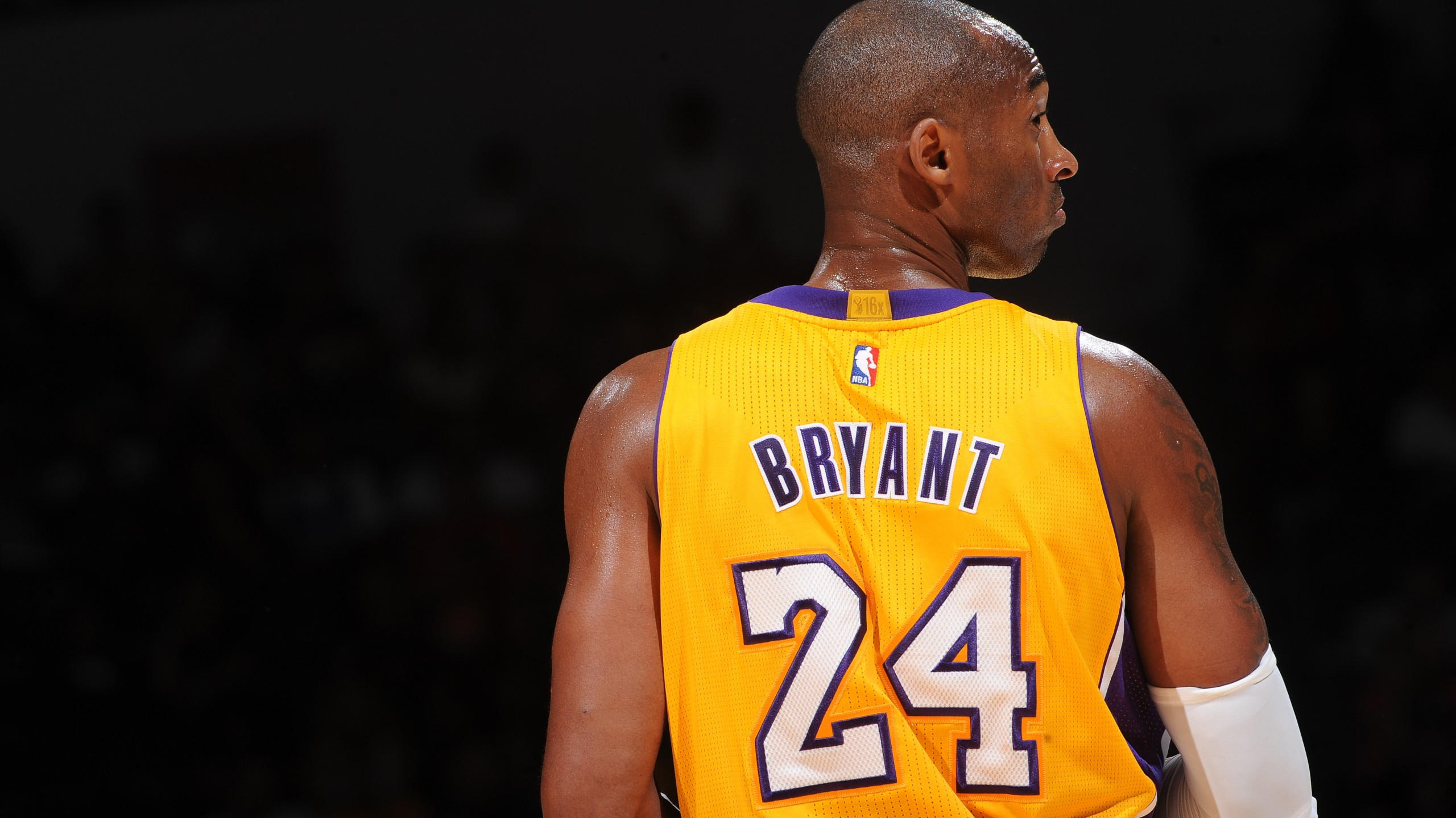 Nba 2560x1440 kobe bryant best basketball players of 2015 los angeles