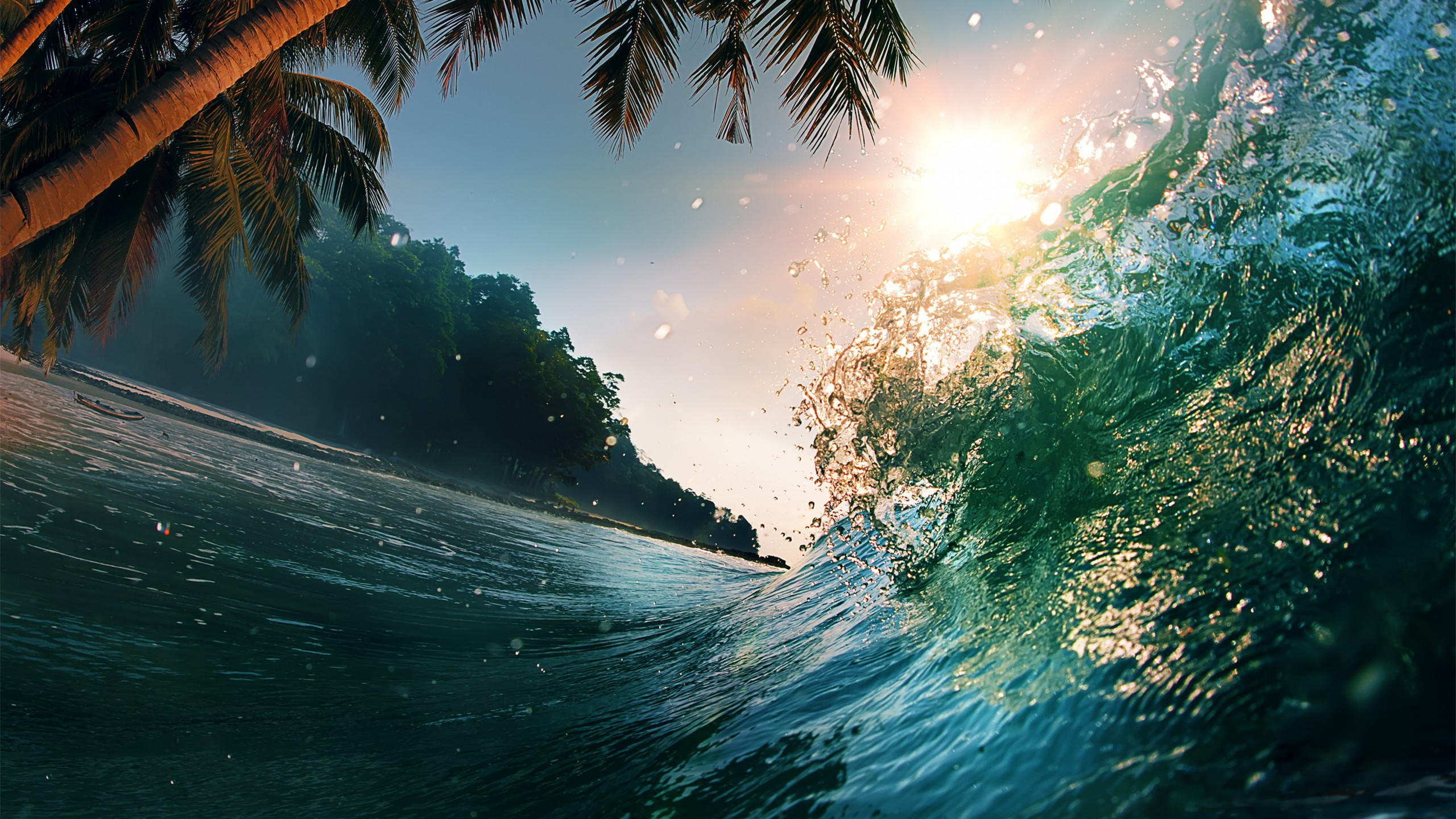 Ocean 2560x1440 waves palm 5k