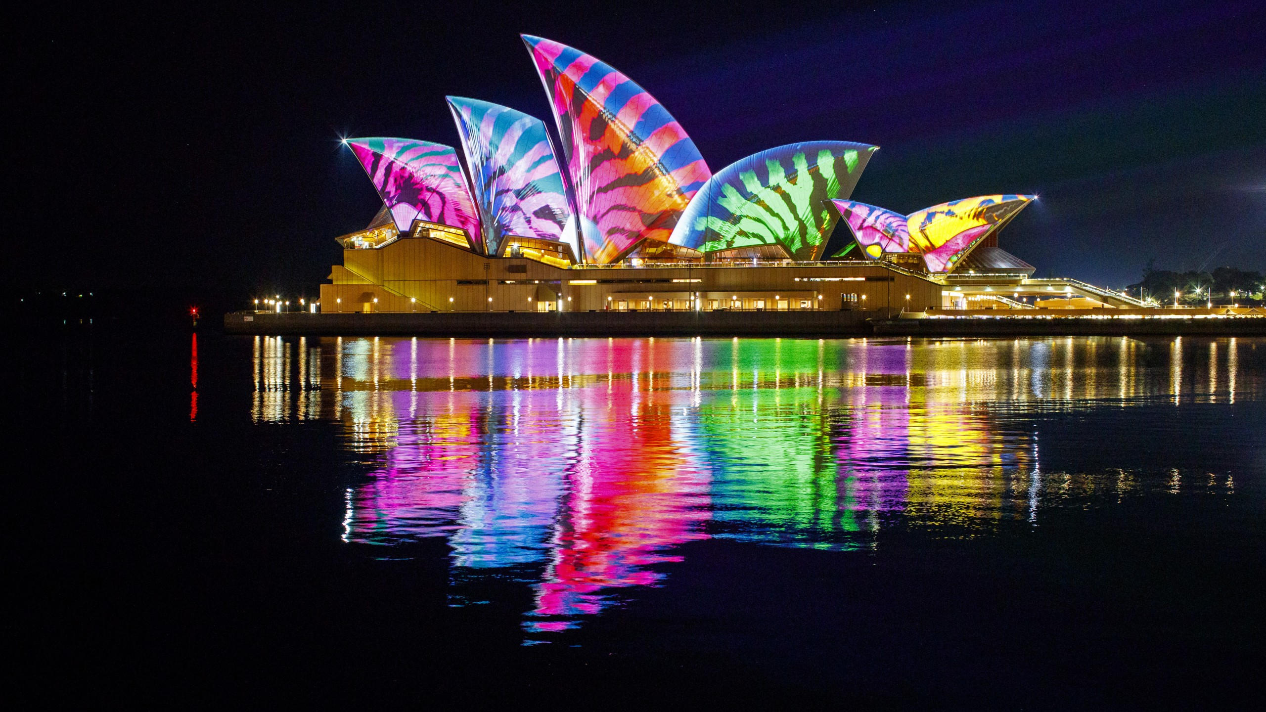 Opera house 2560x1440 sydney australia night 4k