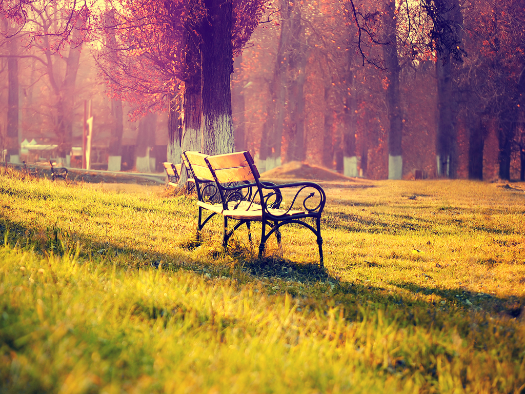 Paisaje de Tranquilidad absoluta