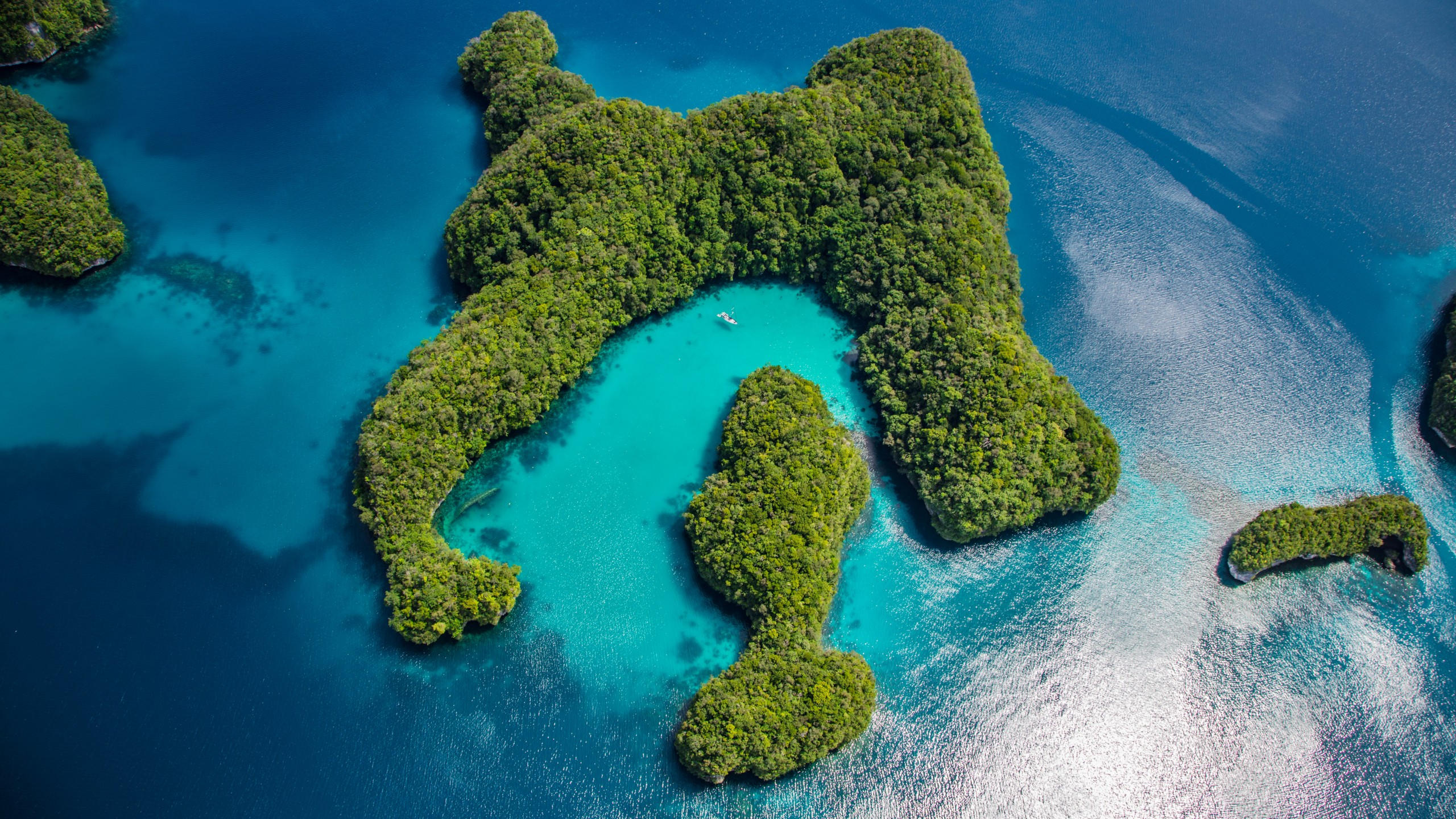 Palau 2560x1440 philippines ocean islands 8k