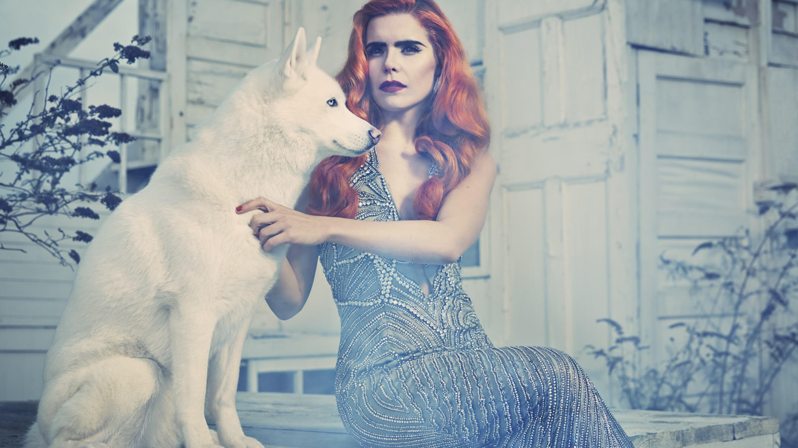Paloma faith 2560x1440 most popular celebs in 2015 actress singer red