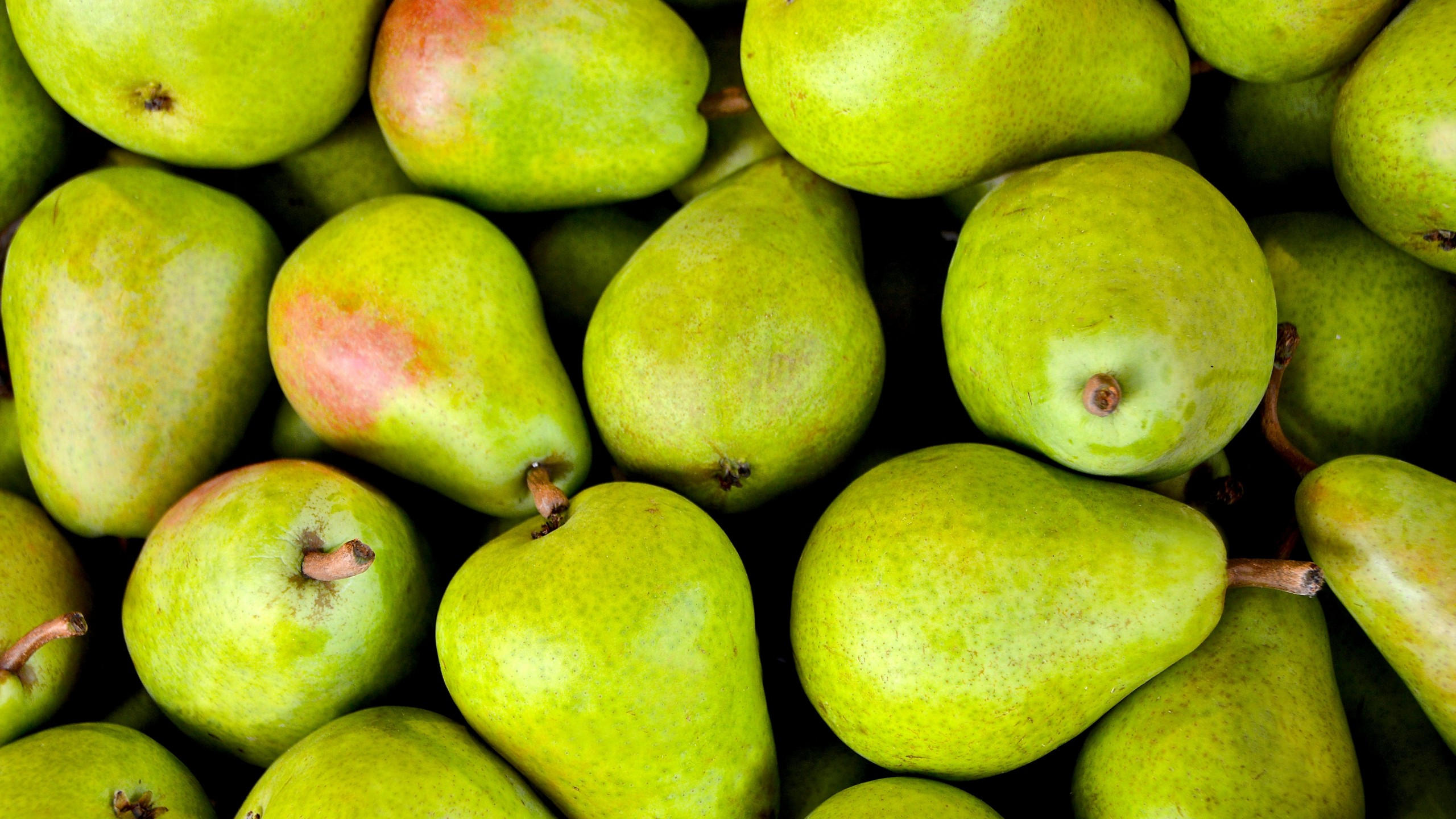 Pear 2560x1440 fruit green 5k