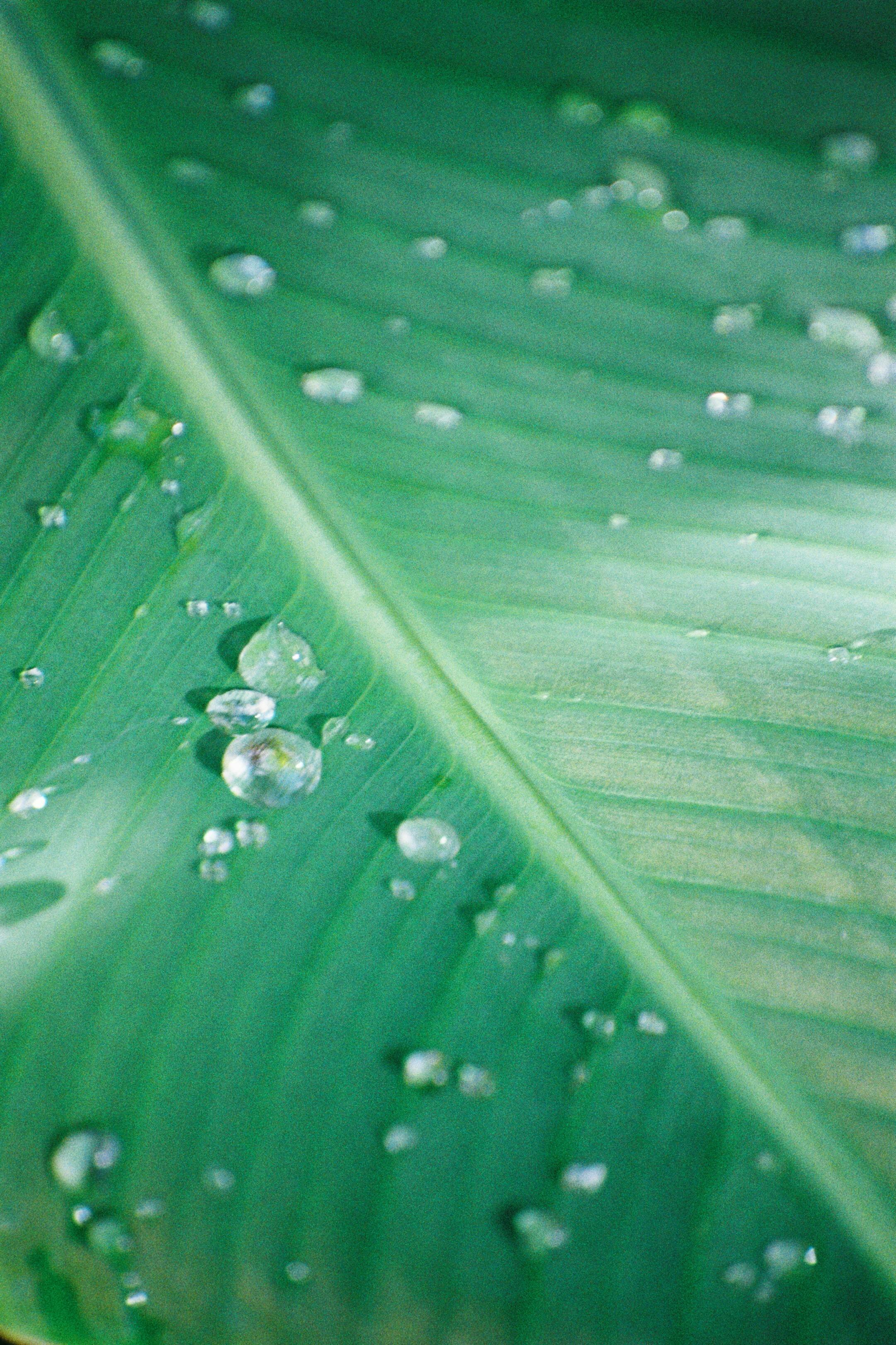 Fondo de Pantalla de pexels_10744706.jpg