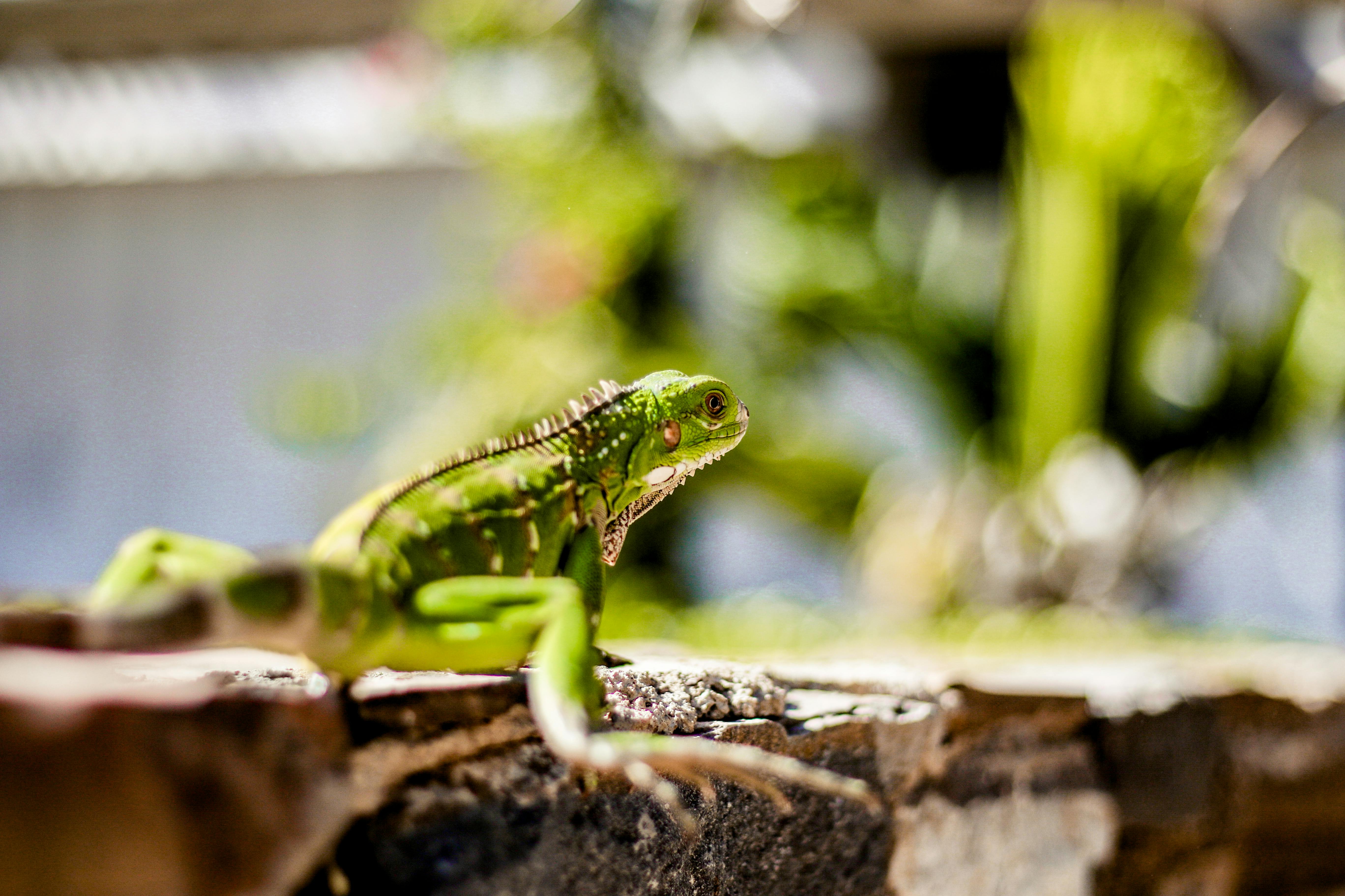 Fondo de Pantalla de pexels_10877399.jpg