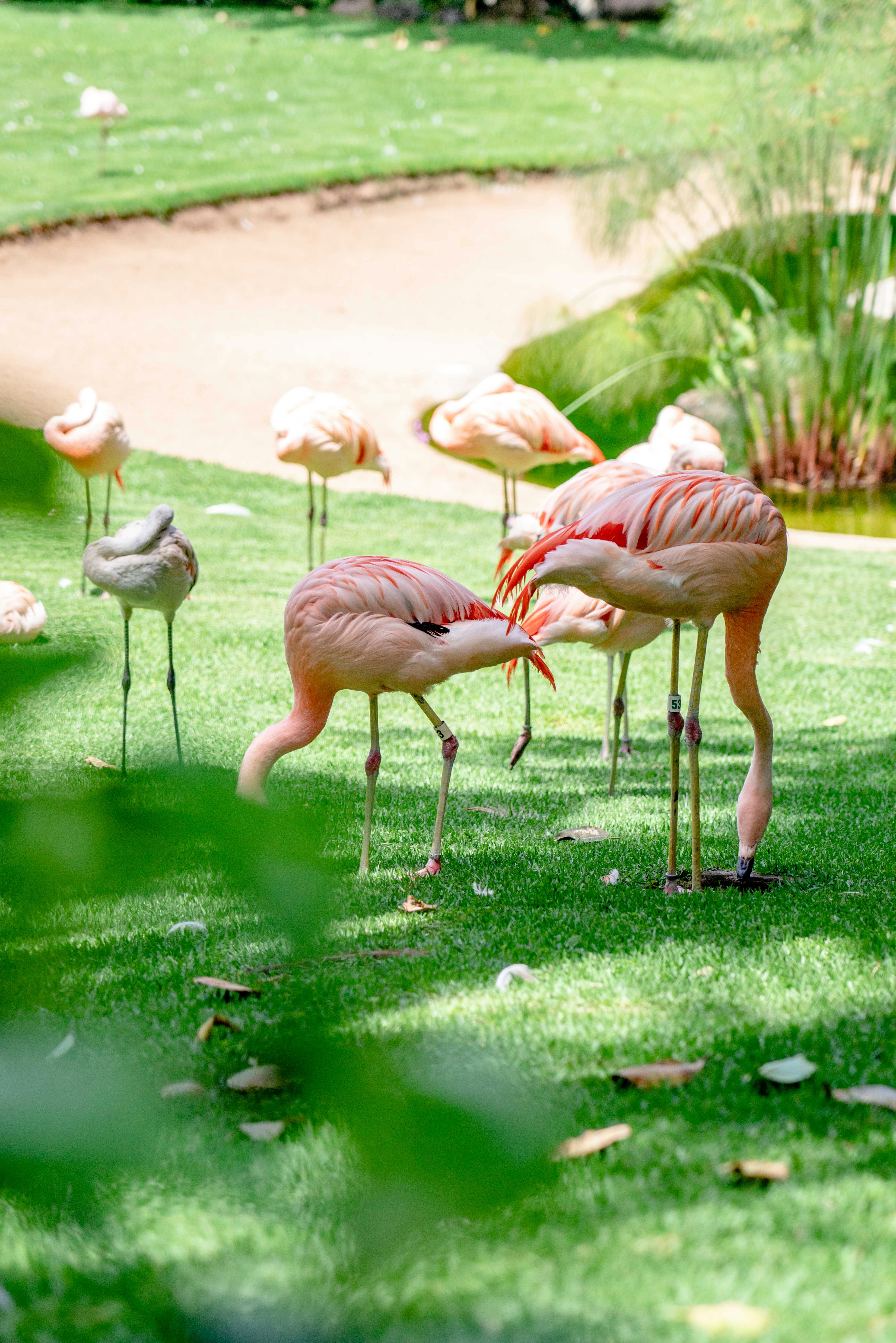 Fondo de Pantalla de pexels_12861710.jpg