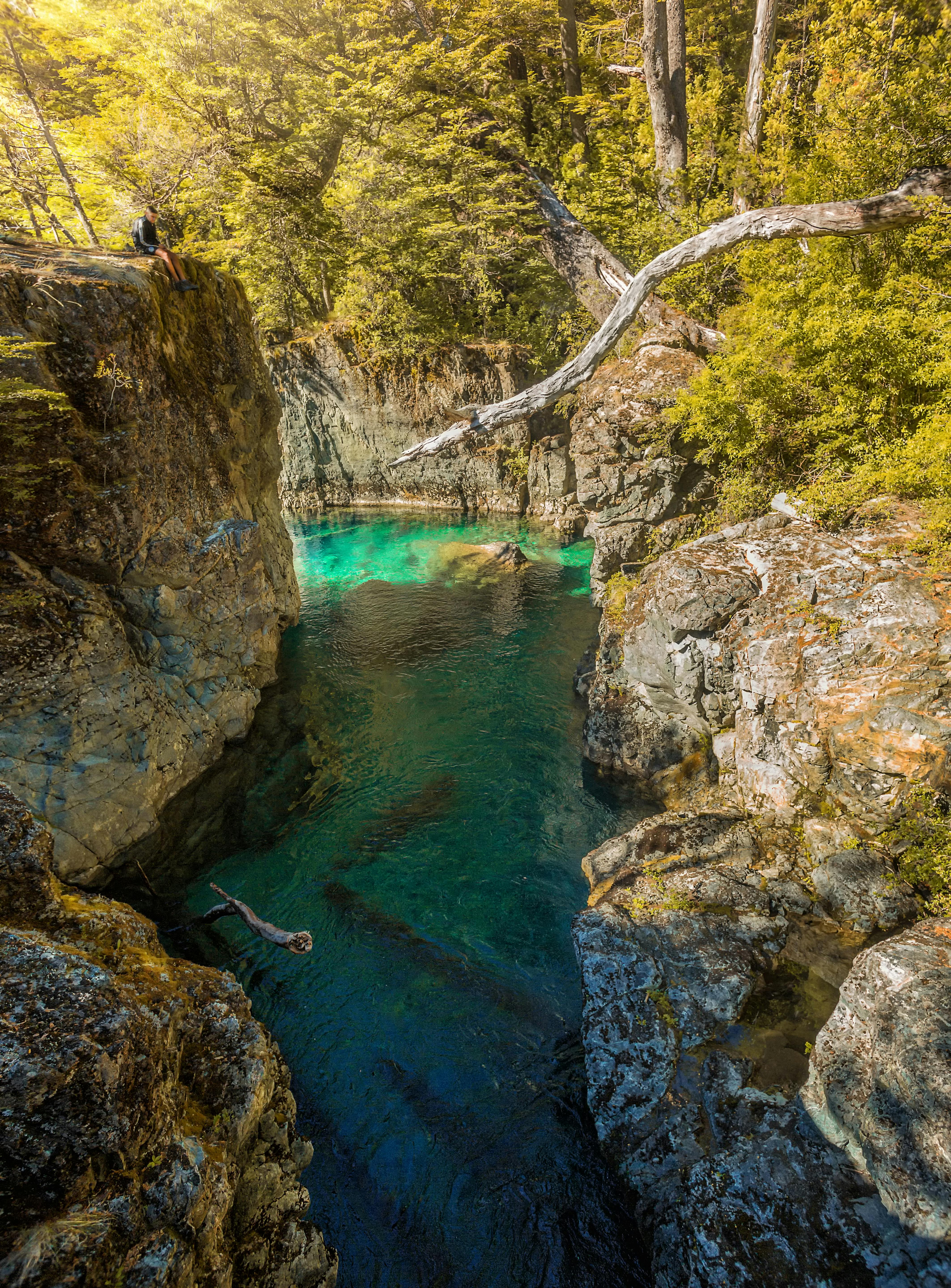 Fondo de Pantalla de pexels_13430589.jpg