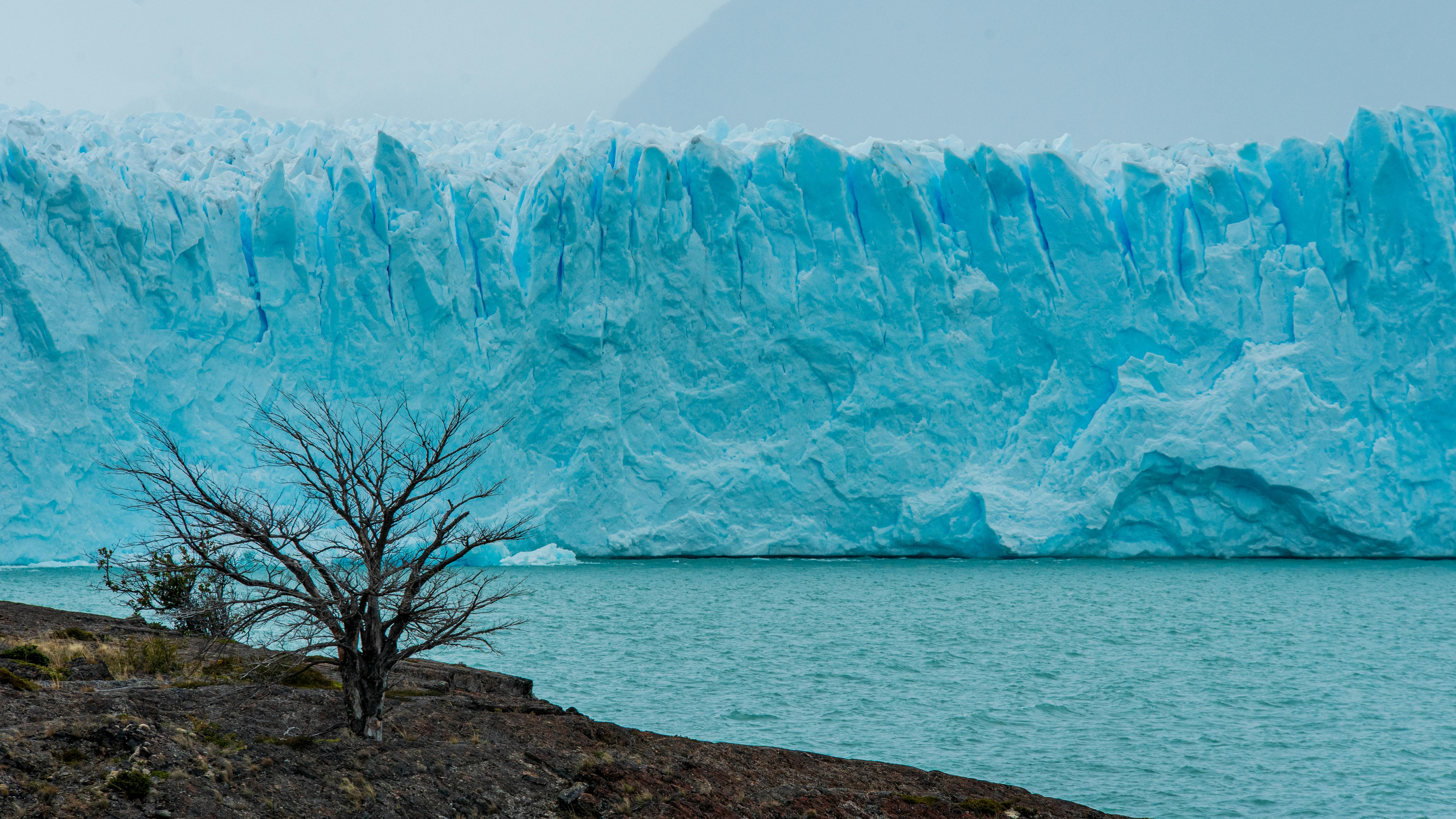 Fondo de Pantalla de pexels_13947175.jpg