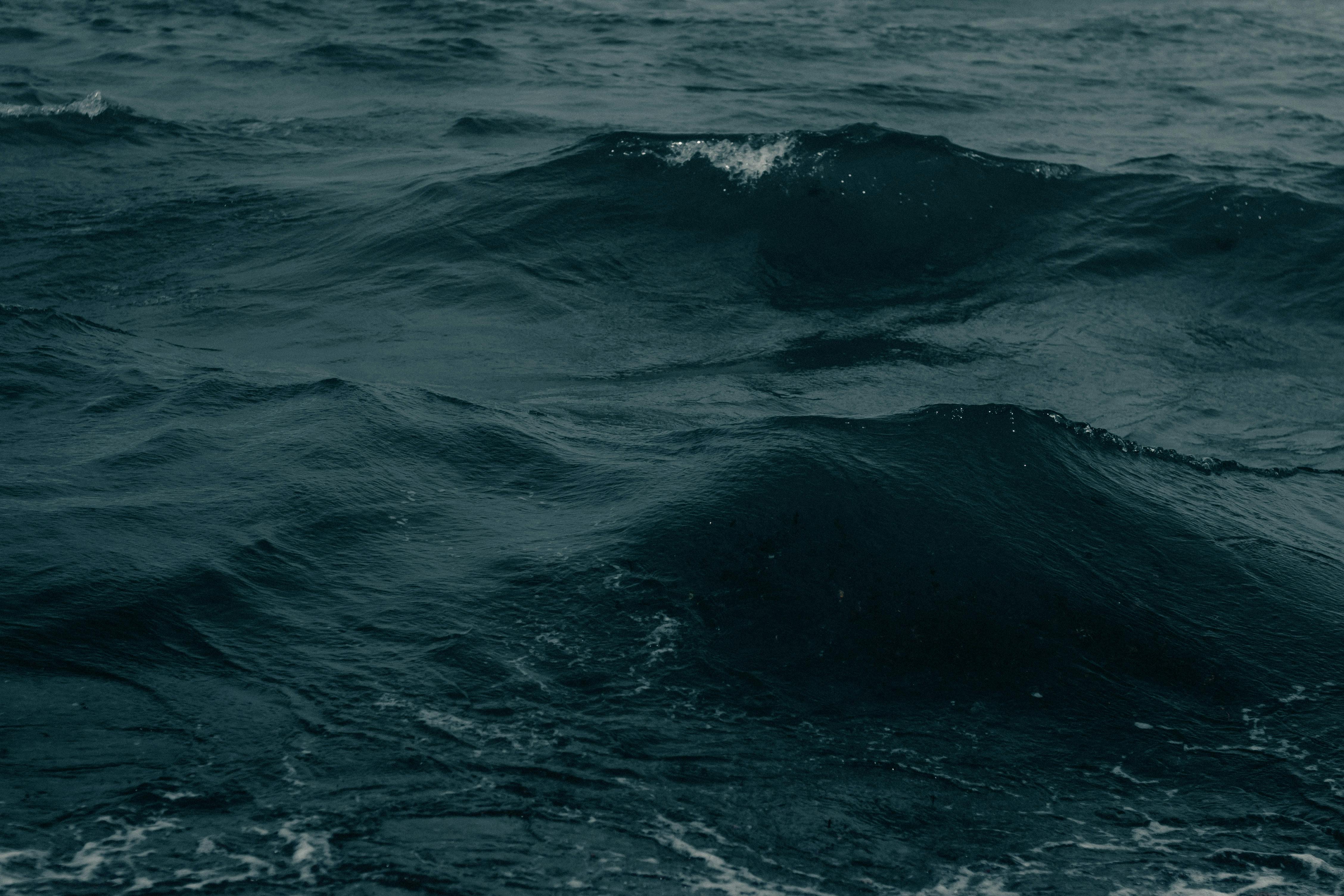 Fondo de Pantalla de pexels_15193223.jpg