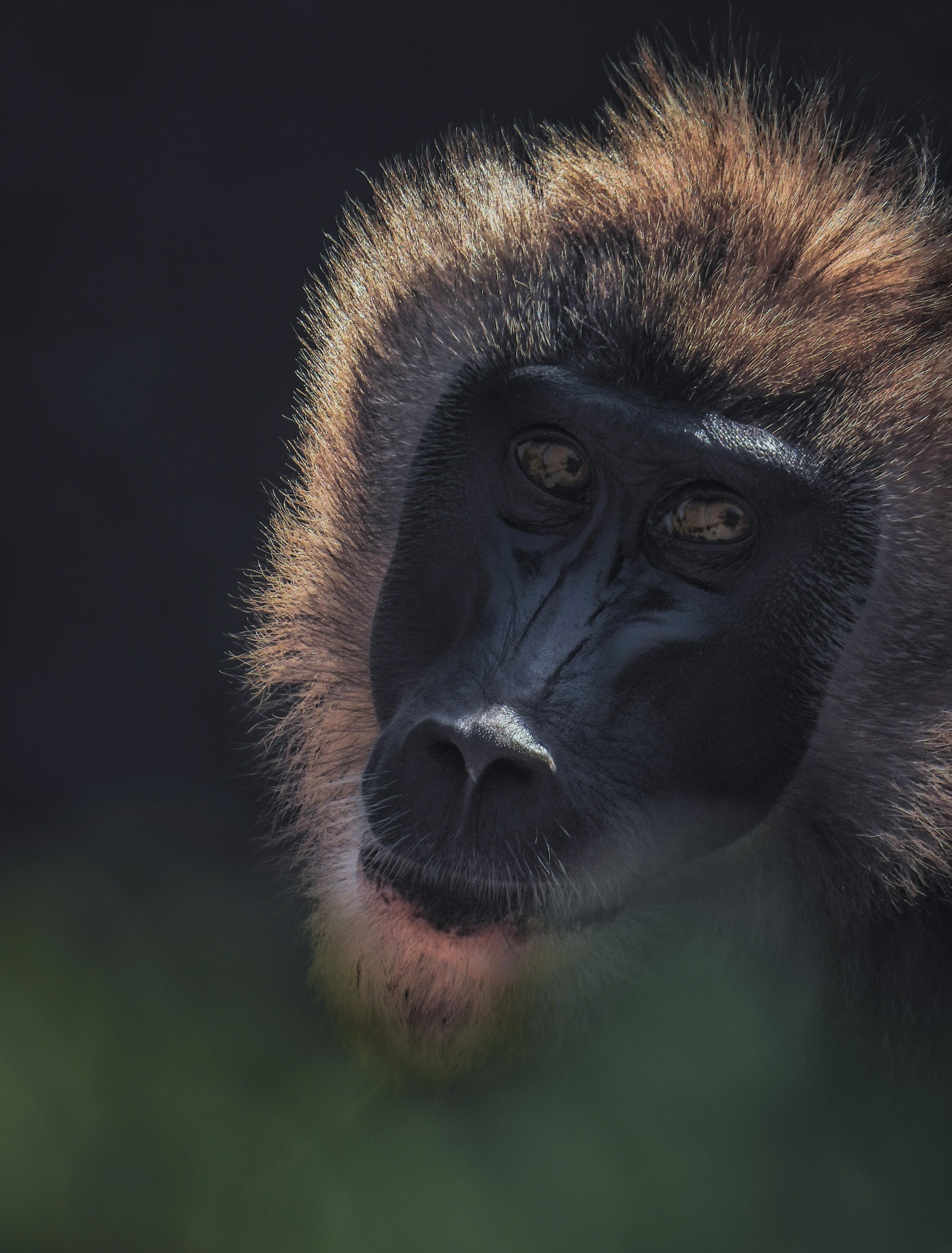 Fondo de Pantalla de pexels_16091704.jpg