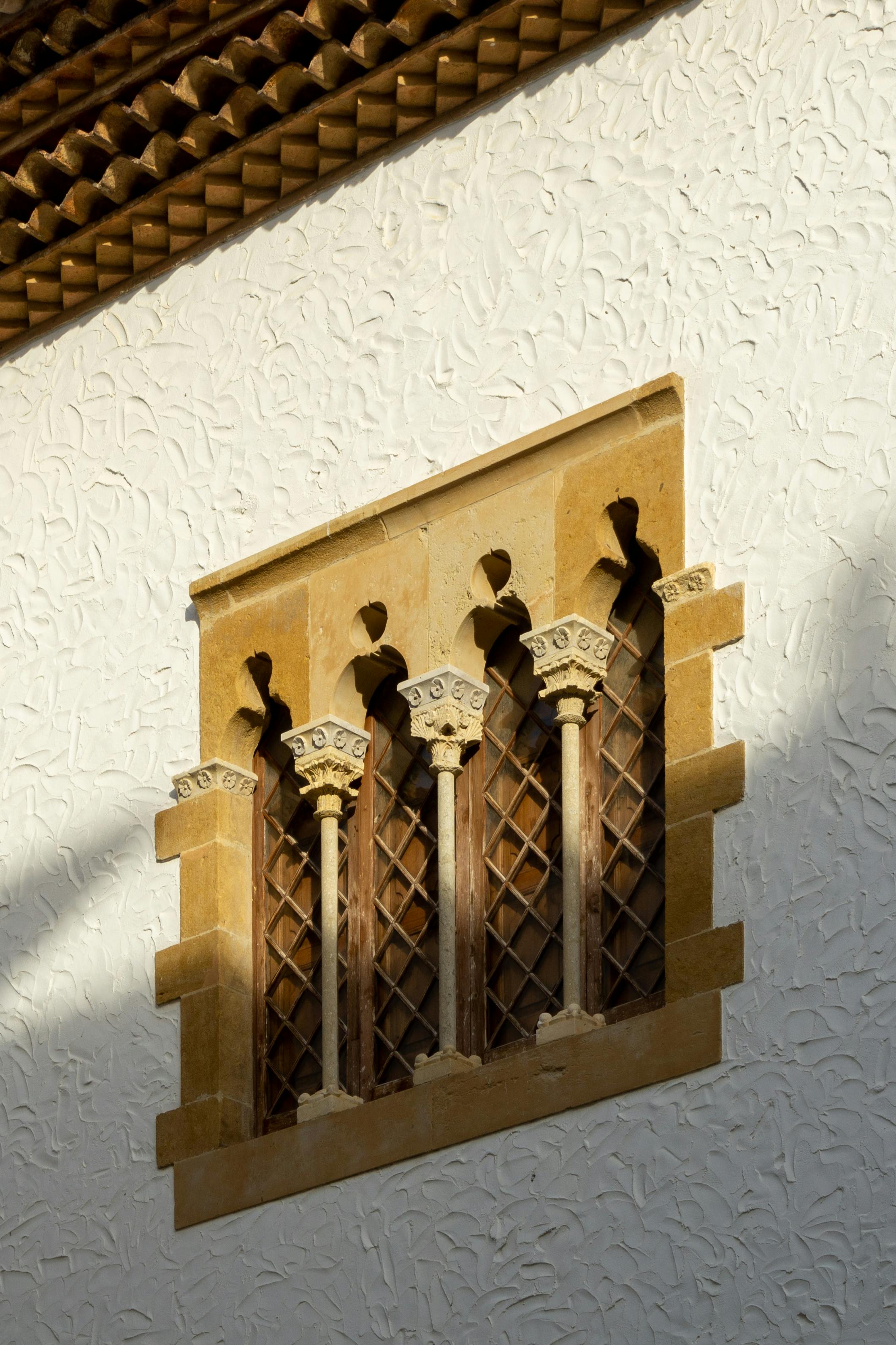 Fondo de Pantalla de pexels_16409313.jpg