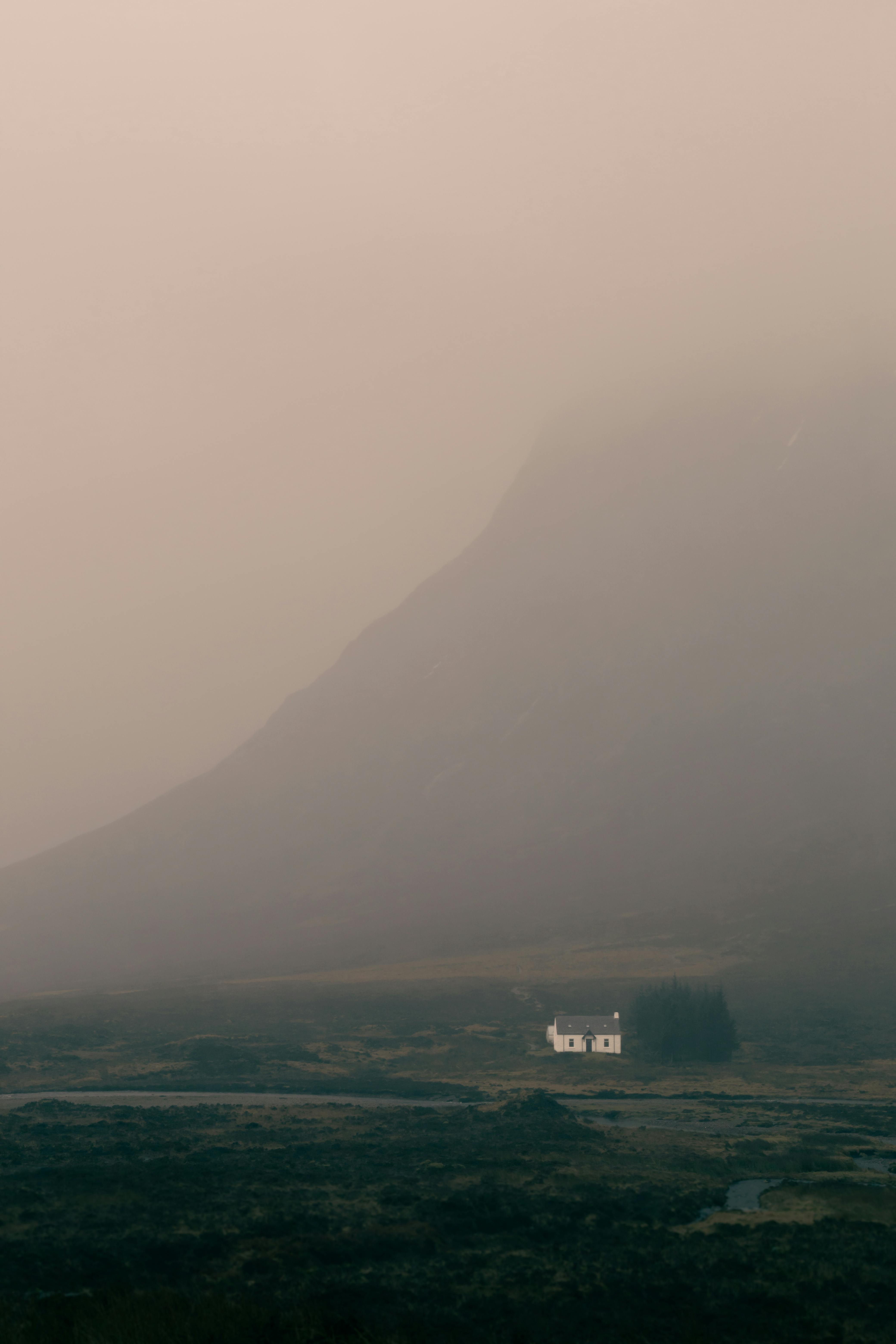 Fondo de Pantalla de pexels_16537613.jpg