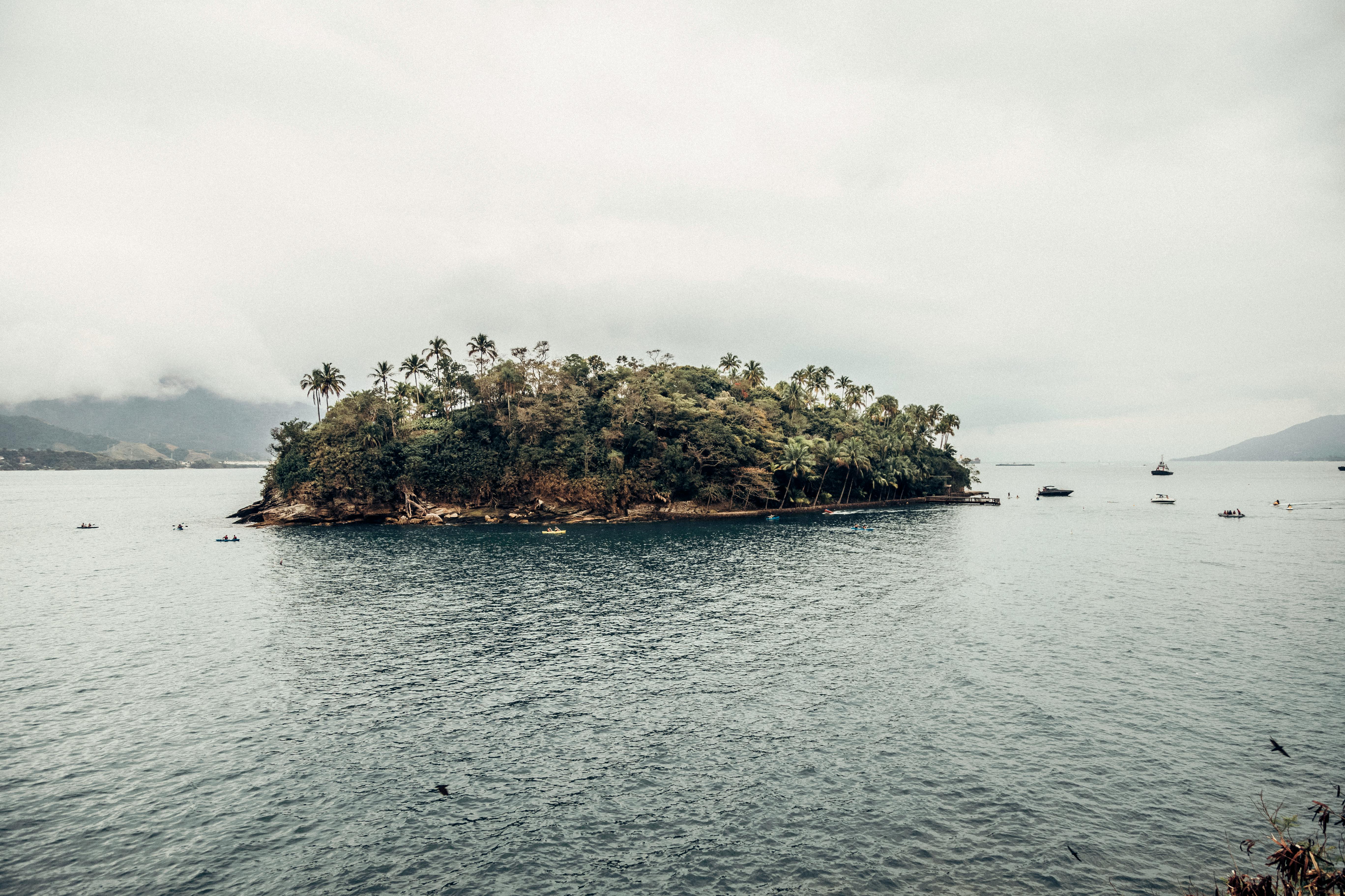 Fondo de Pantalla de pexels_16963307.jpg