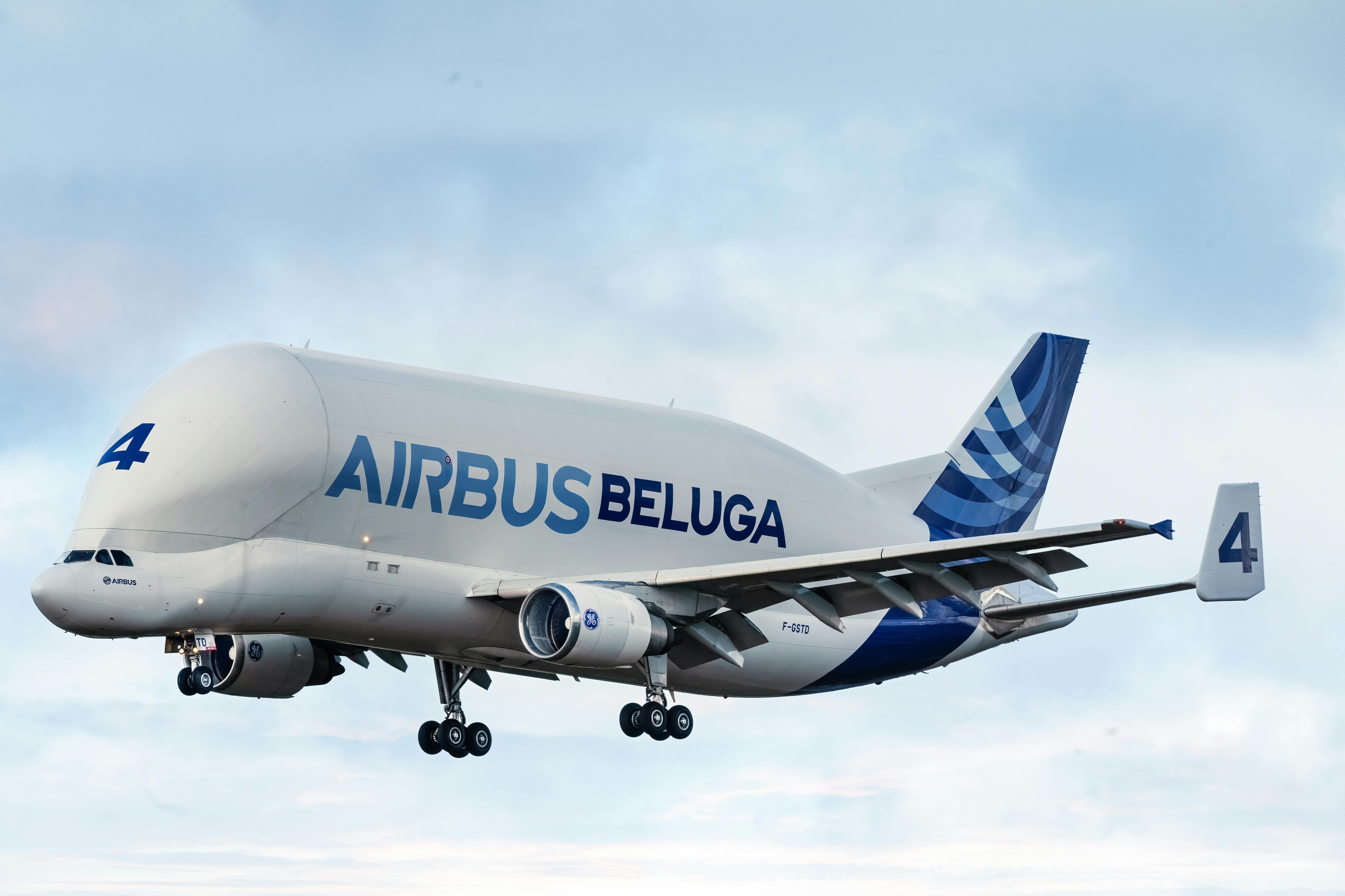 Fondo de Pantalla de pexels_18192938.jpg