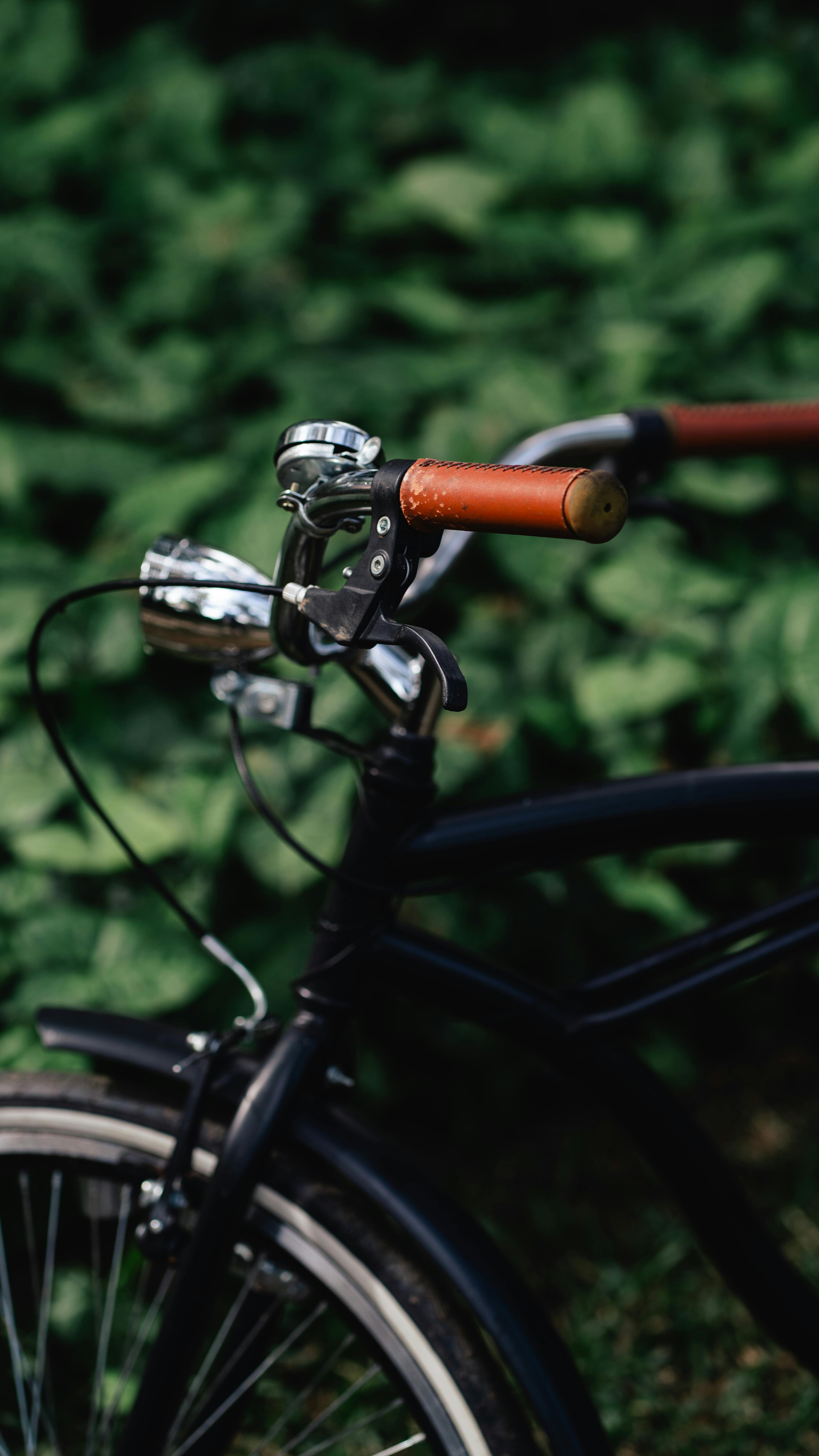 Fondo de Pantalla de pexels_18279017.jpg