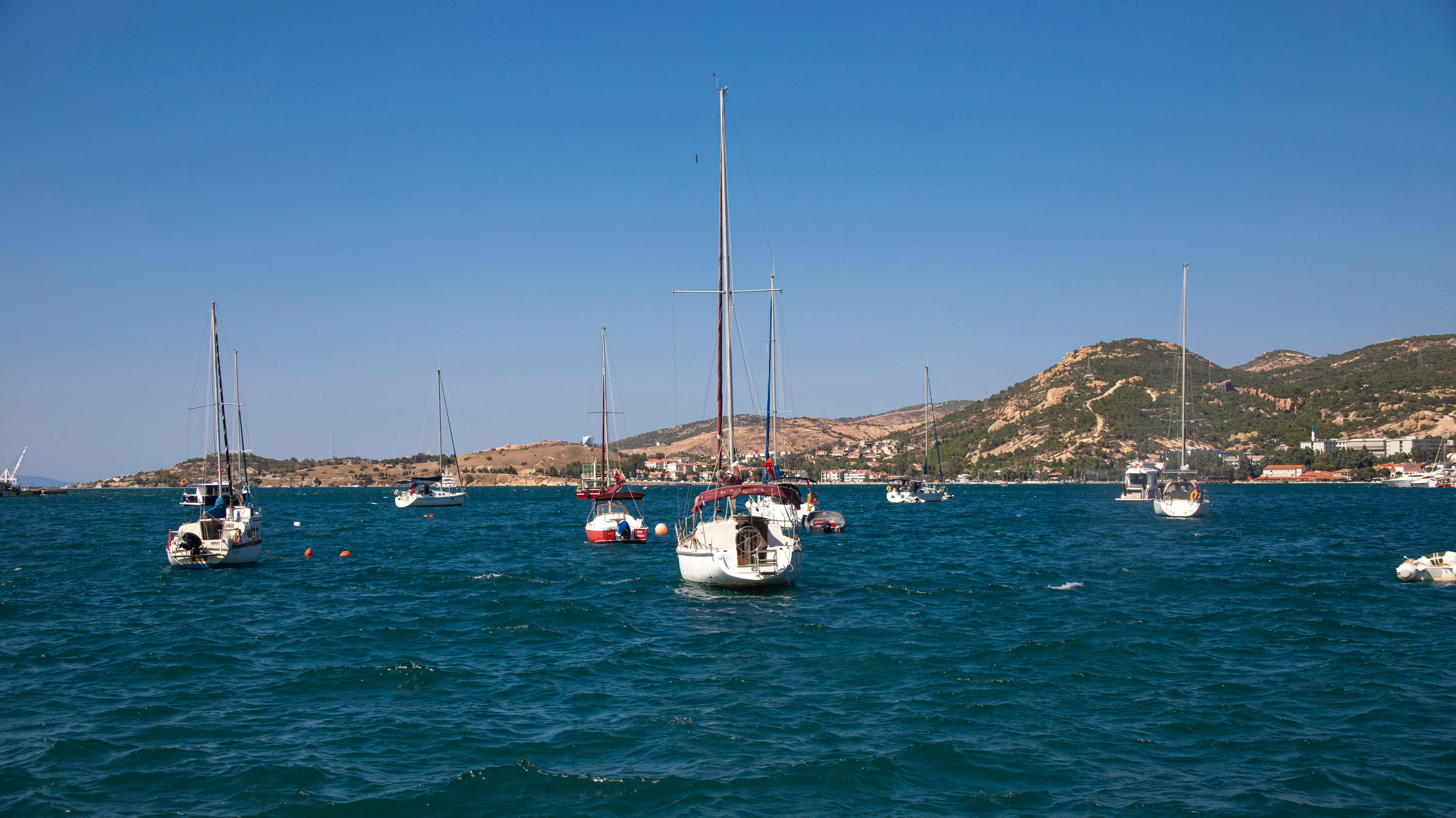 Fondo de Pantalla de pexels_18323816.jpg