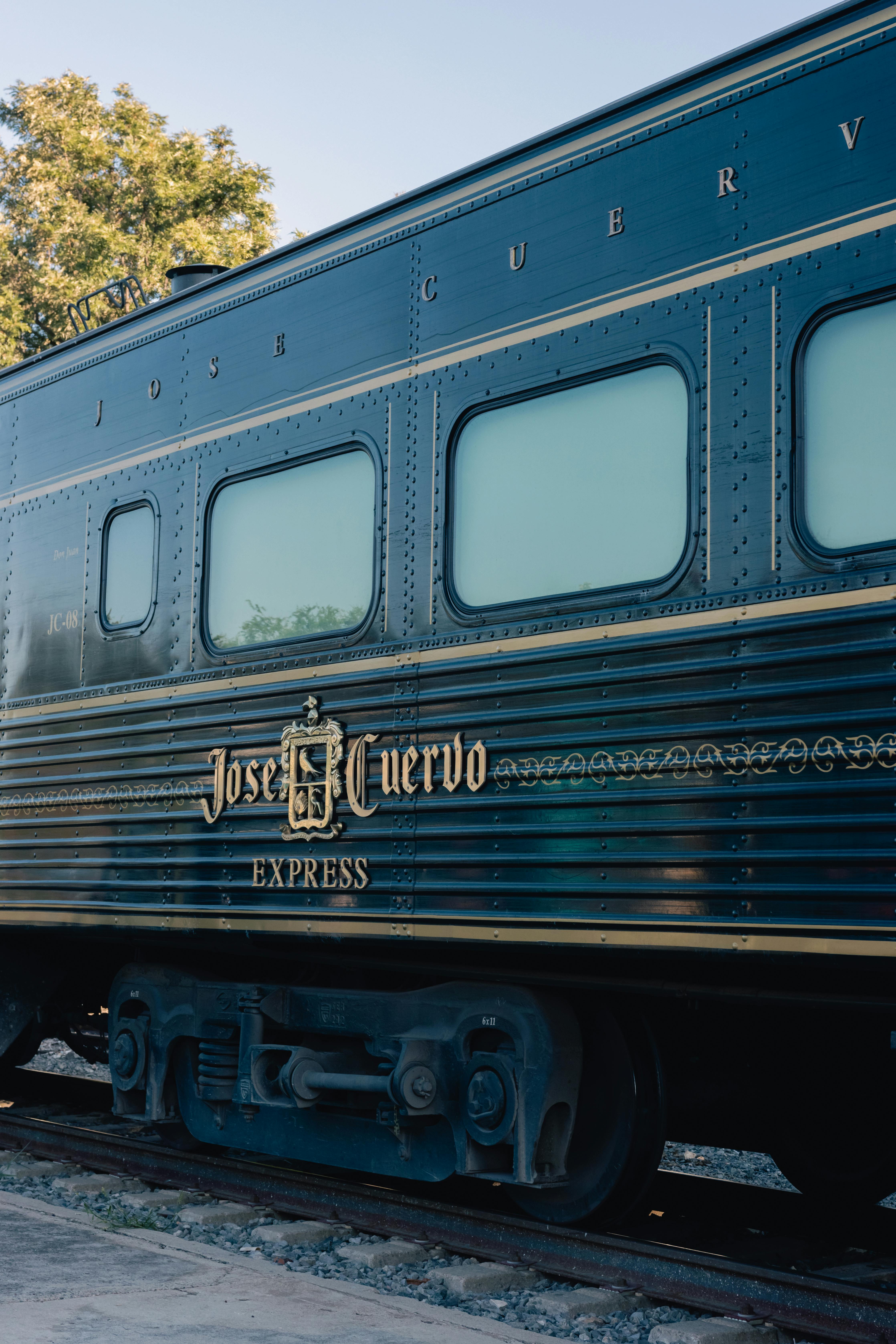 Fondo de Pantalla de pexels_18531721.jpg