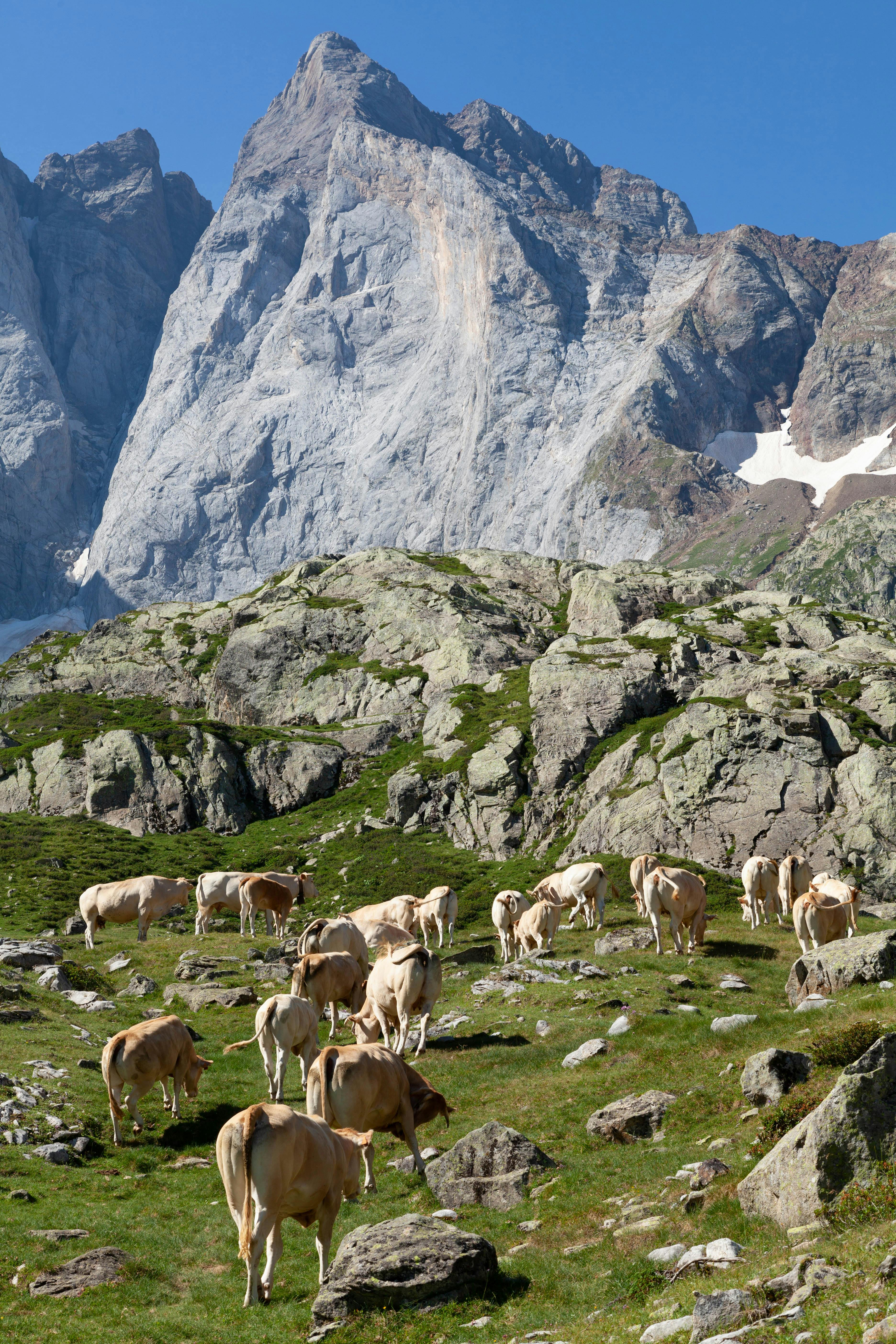 Fondo de Pantalla de pexels_18636393.jpg