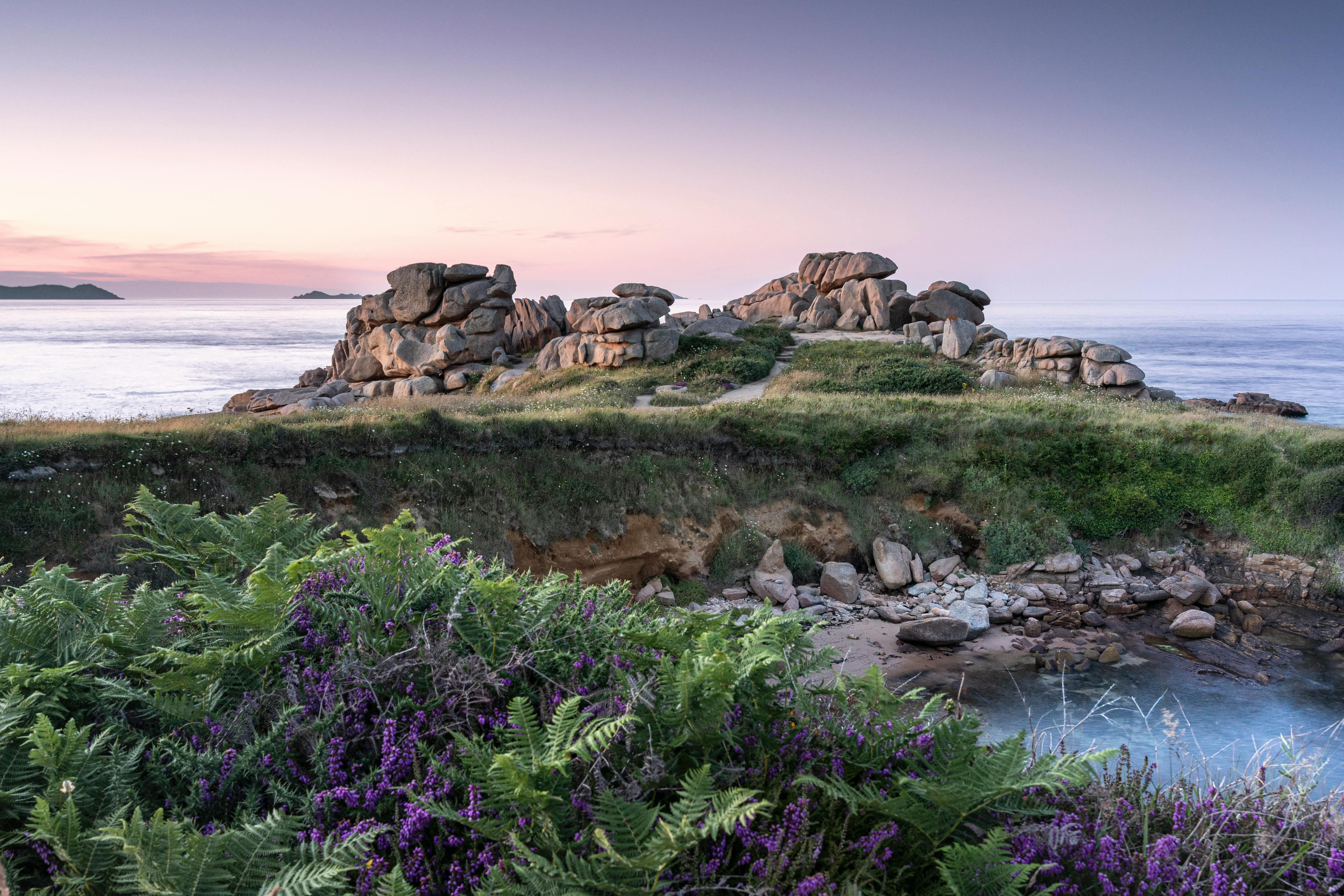 Fondo de Pantalla de pexels_19468133.jpg