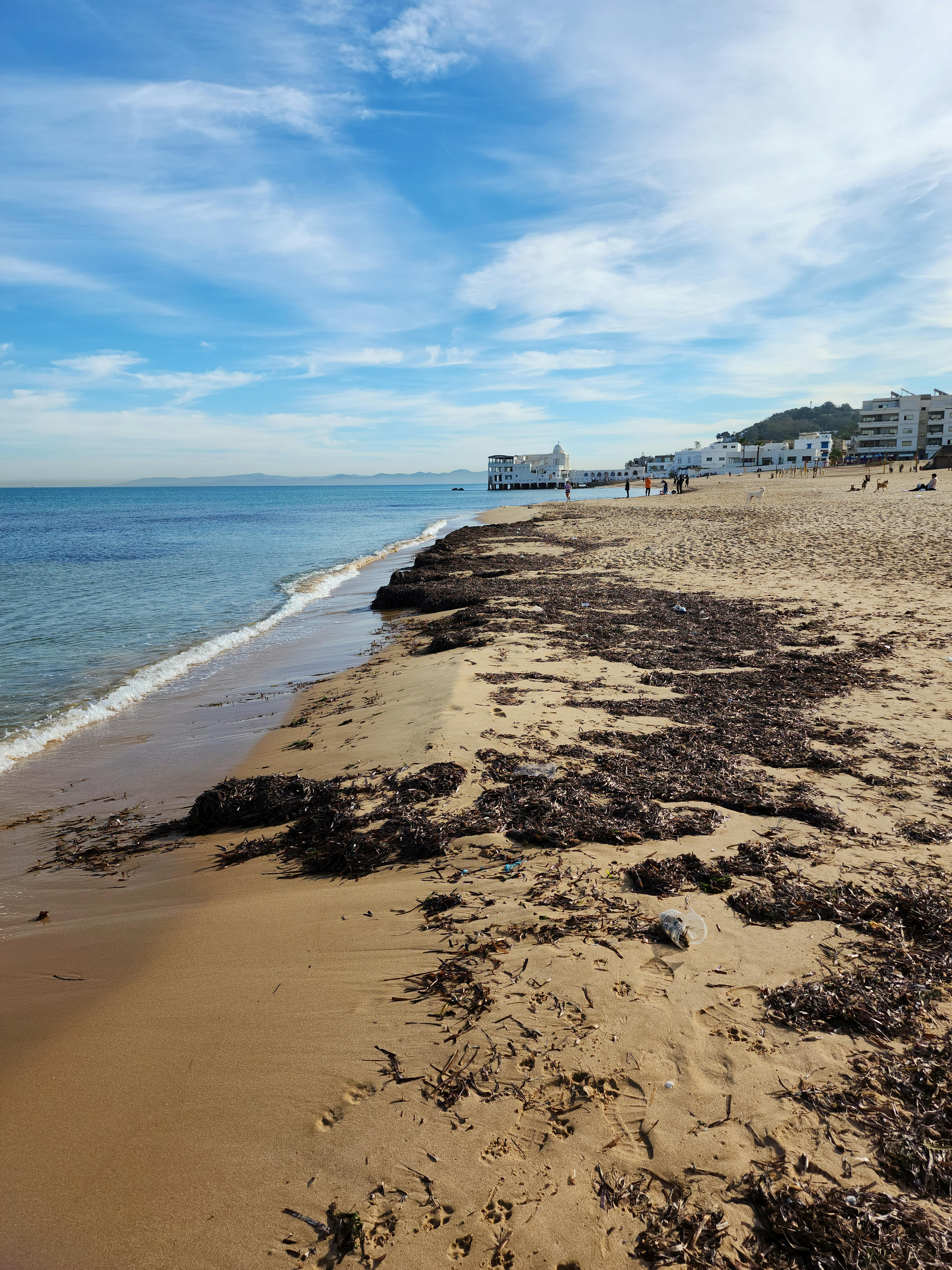 Fondo de Pantalla de pexels_19536162.jpg