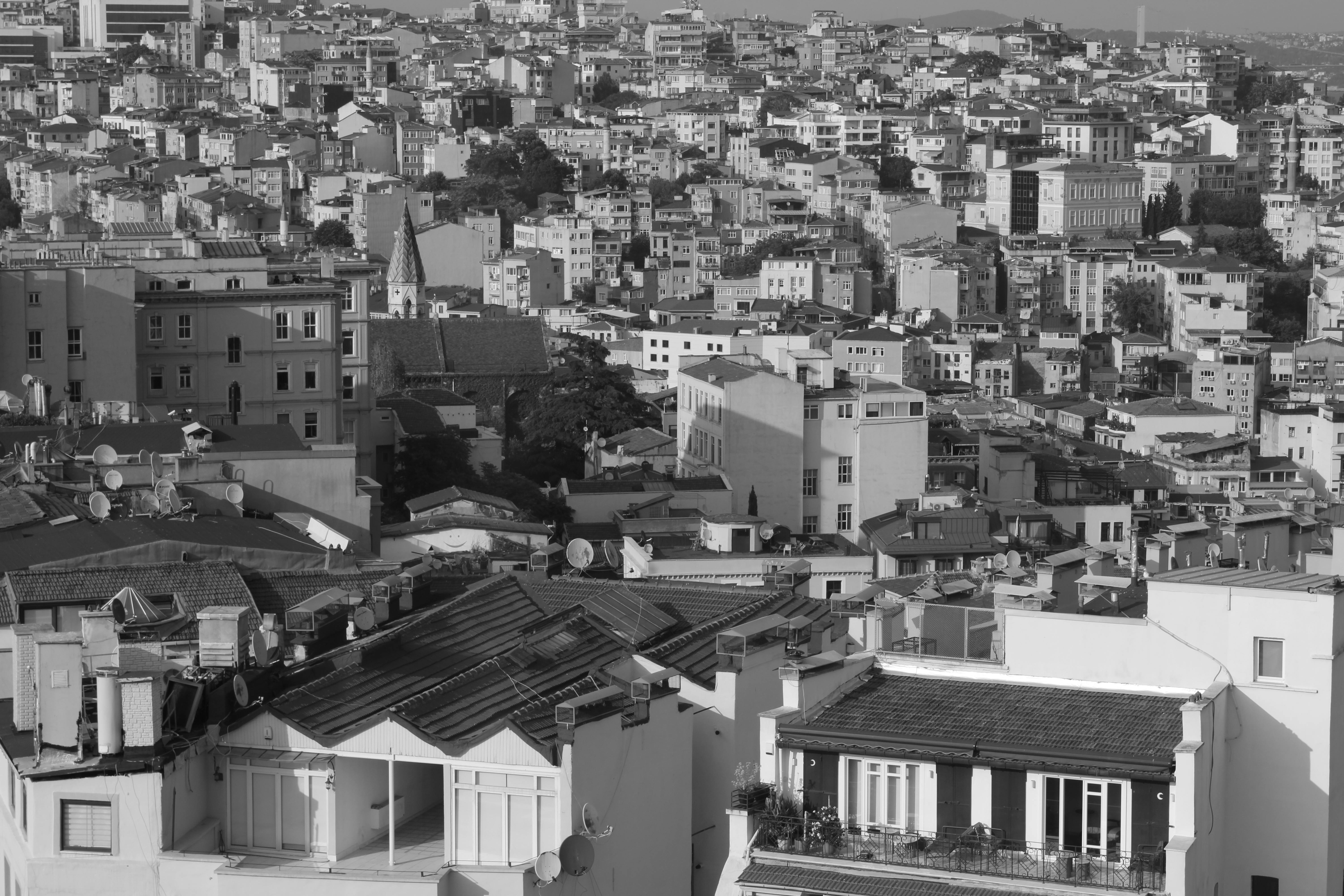 Fondo de Pantalla de pexels_19640800.jpg