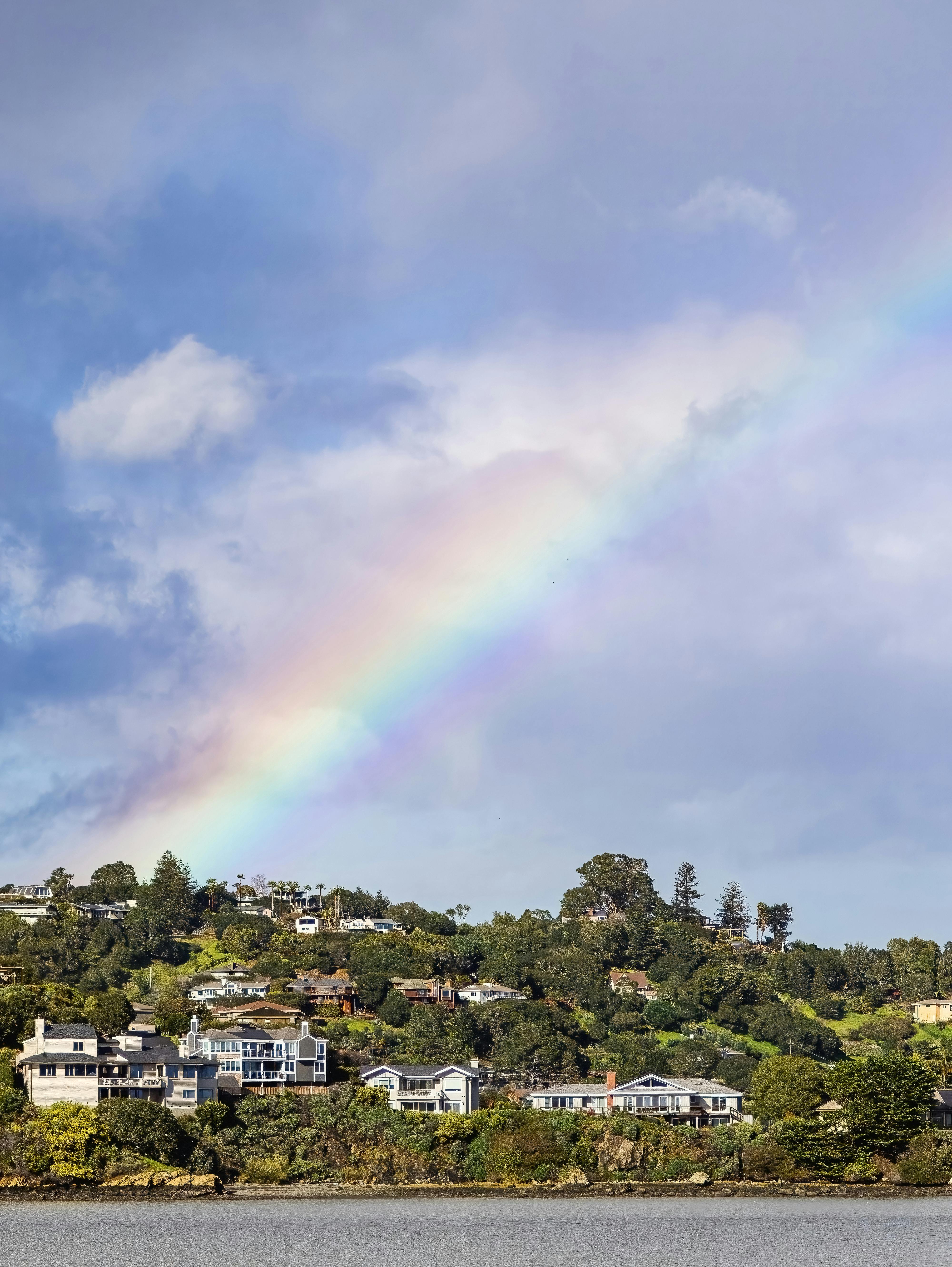 Fondo de Pantalla de pexels_20378906.jpg