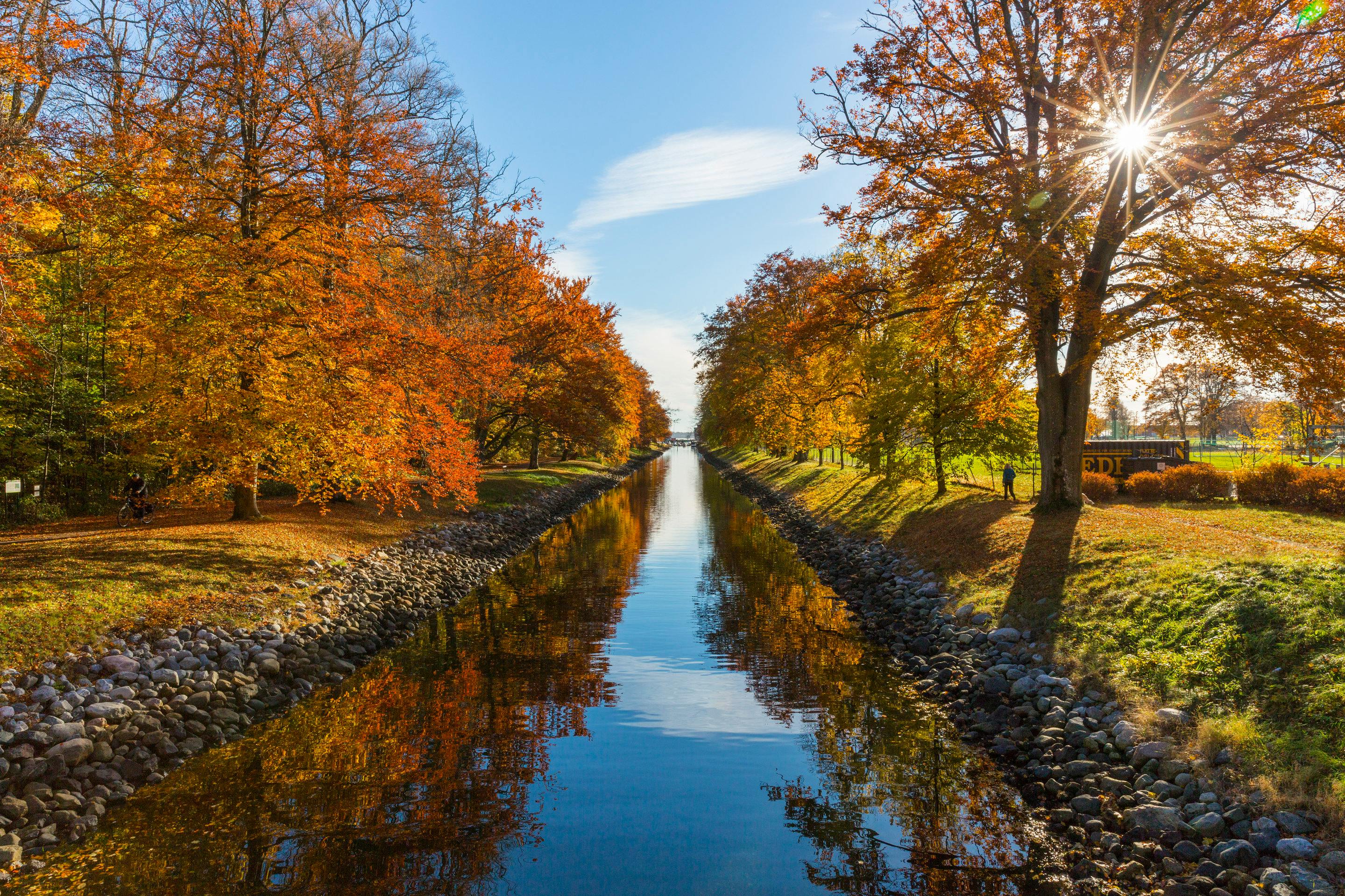 Fondo de Pantalla de pexels_219025.jpg