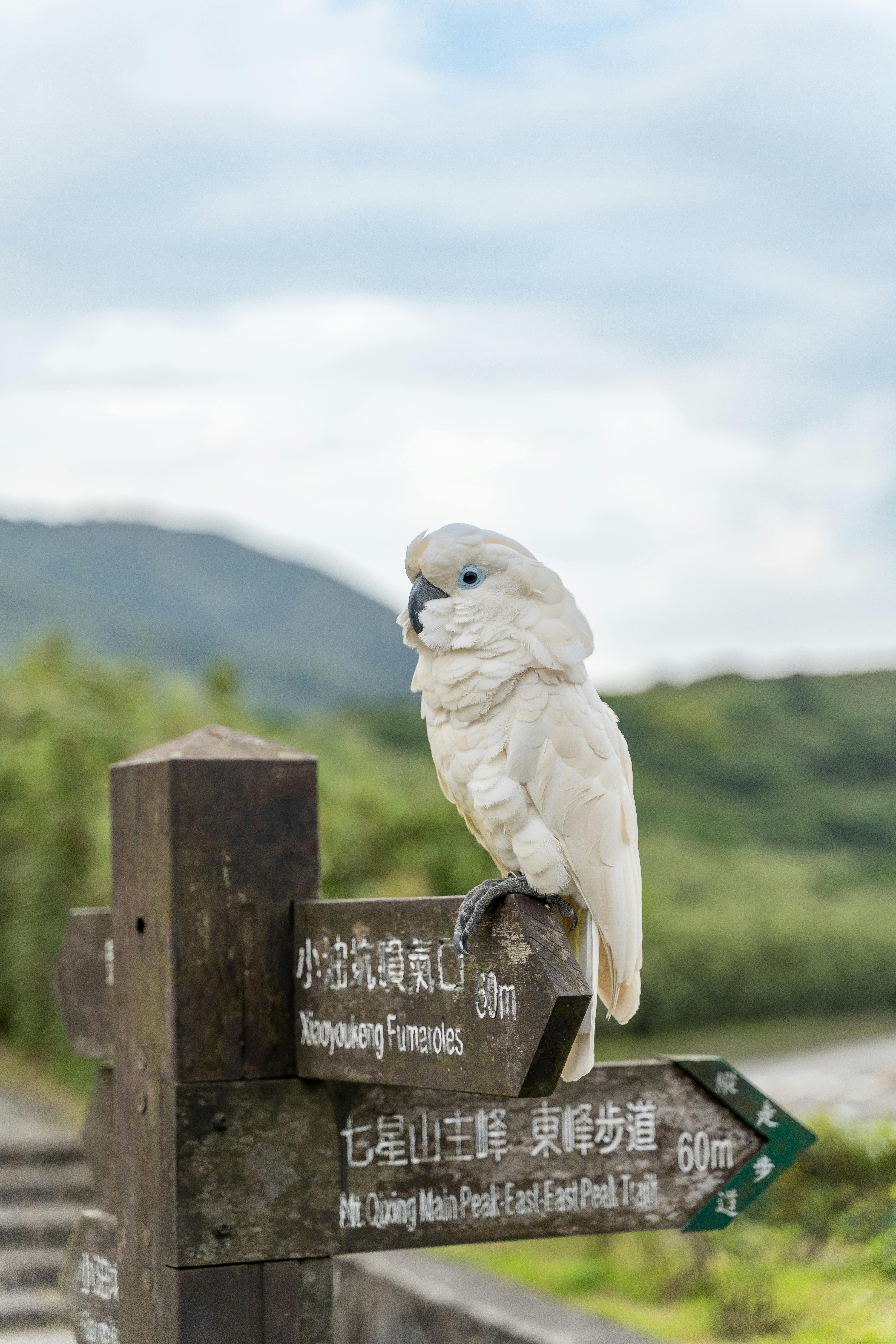 Fondo de Pantalla de pexels_25405325.jpg