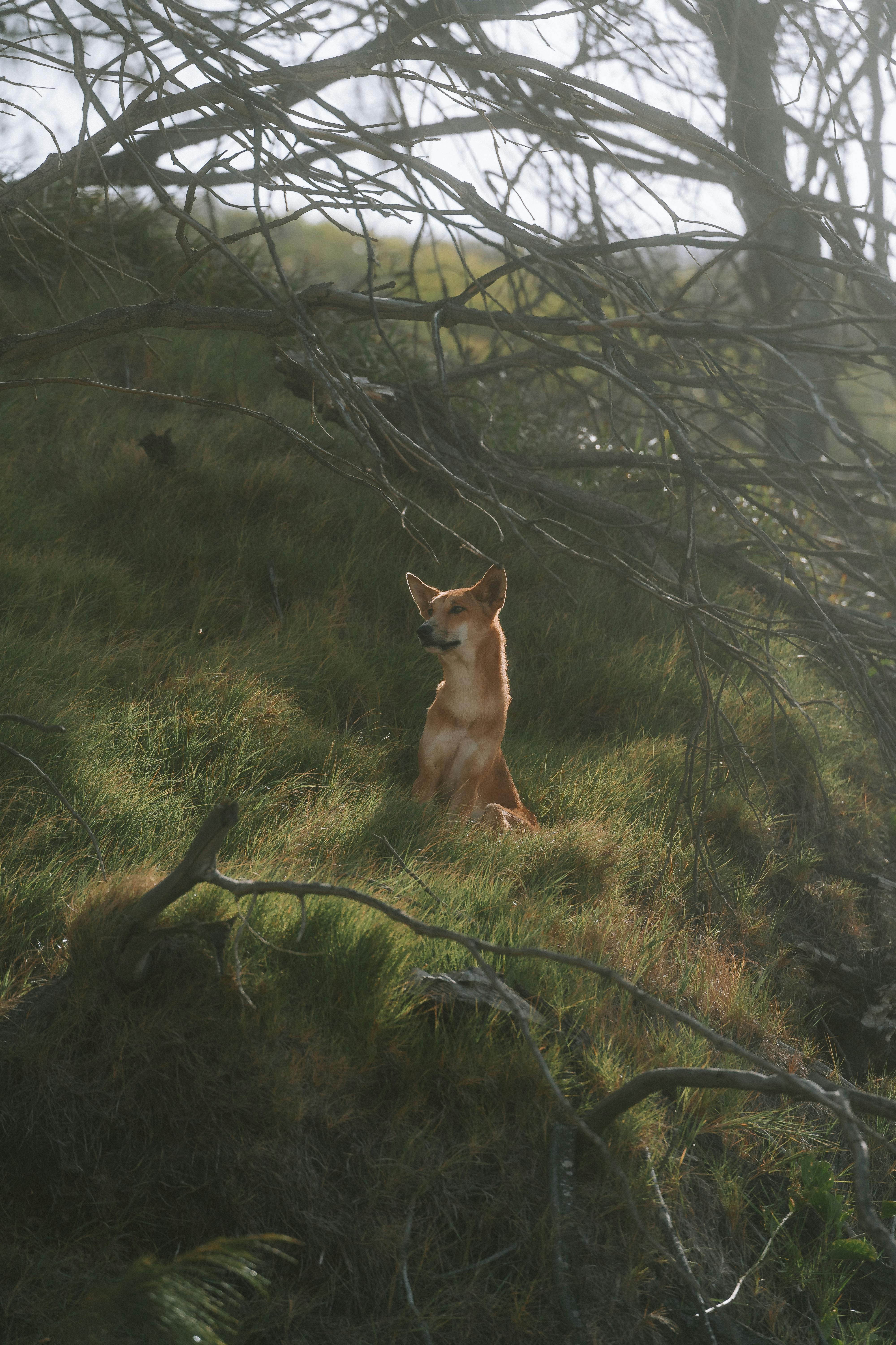 Fondo de Pantalla de pexels_26555819.jpg