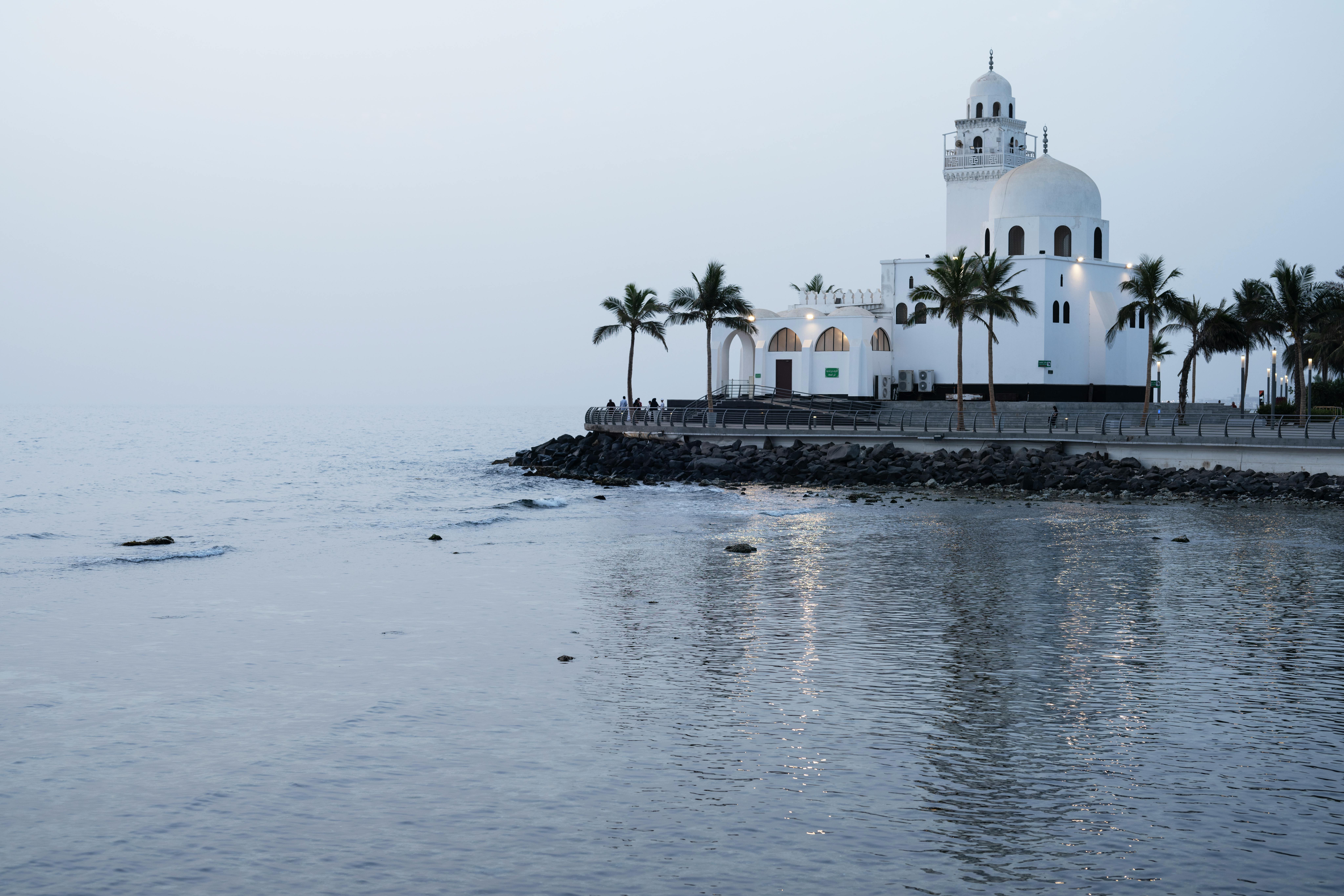 Fondo de Pantalla de pexels_27396924.jpg