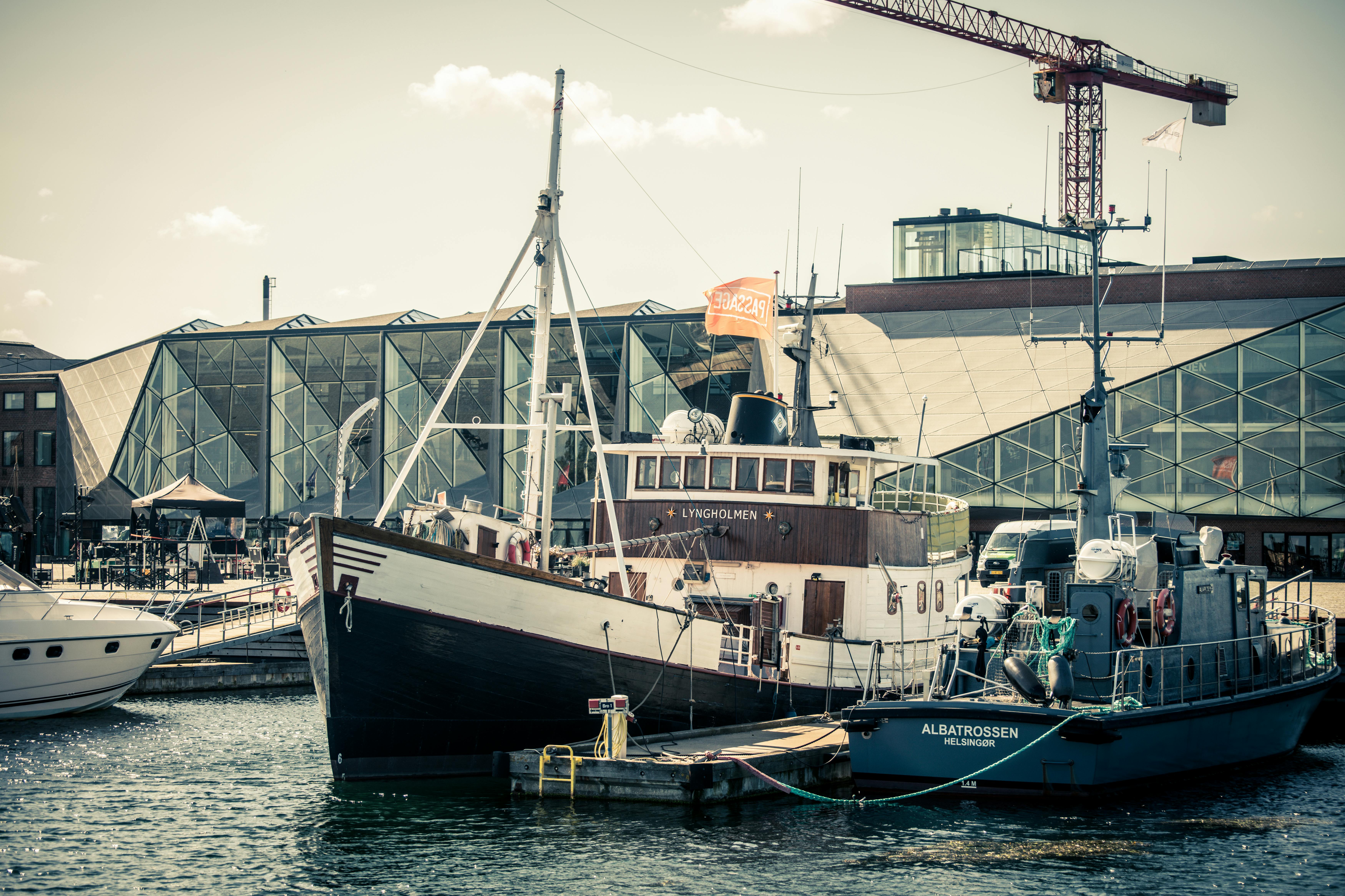 Fondo de Pantalla de pexels_27959976.jpg