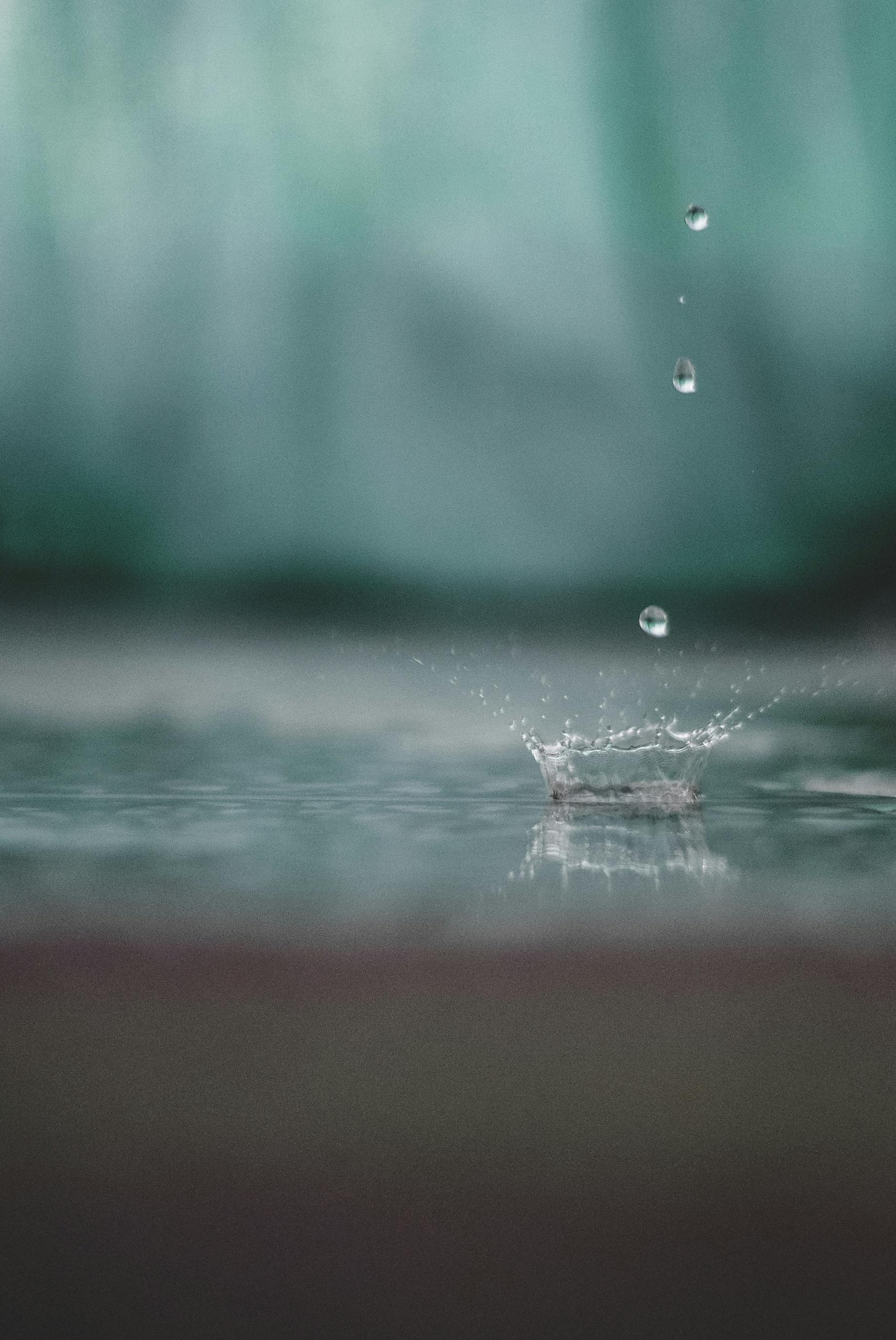 Fondo de Pantalla de pexels_2877066.jpg