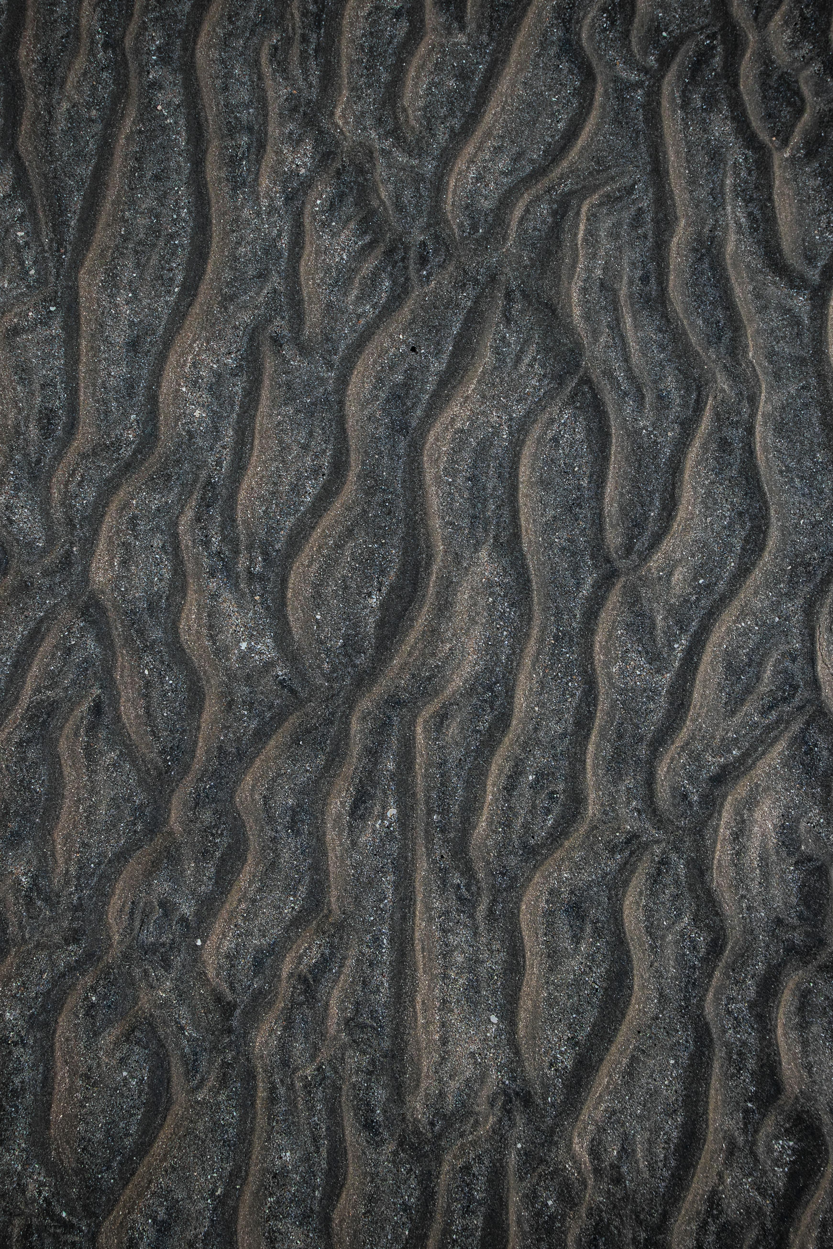 Fondo de Pantalla de pexels_29041984.jpg