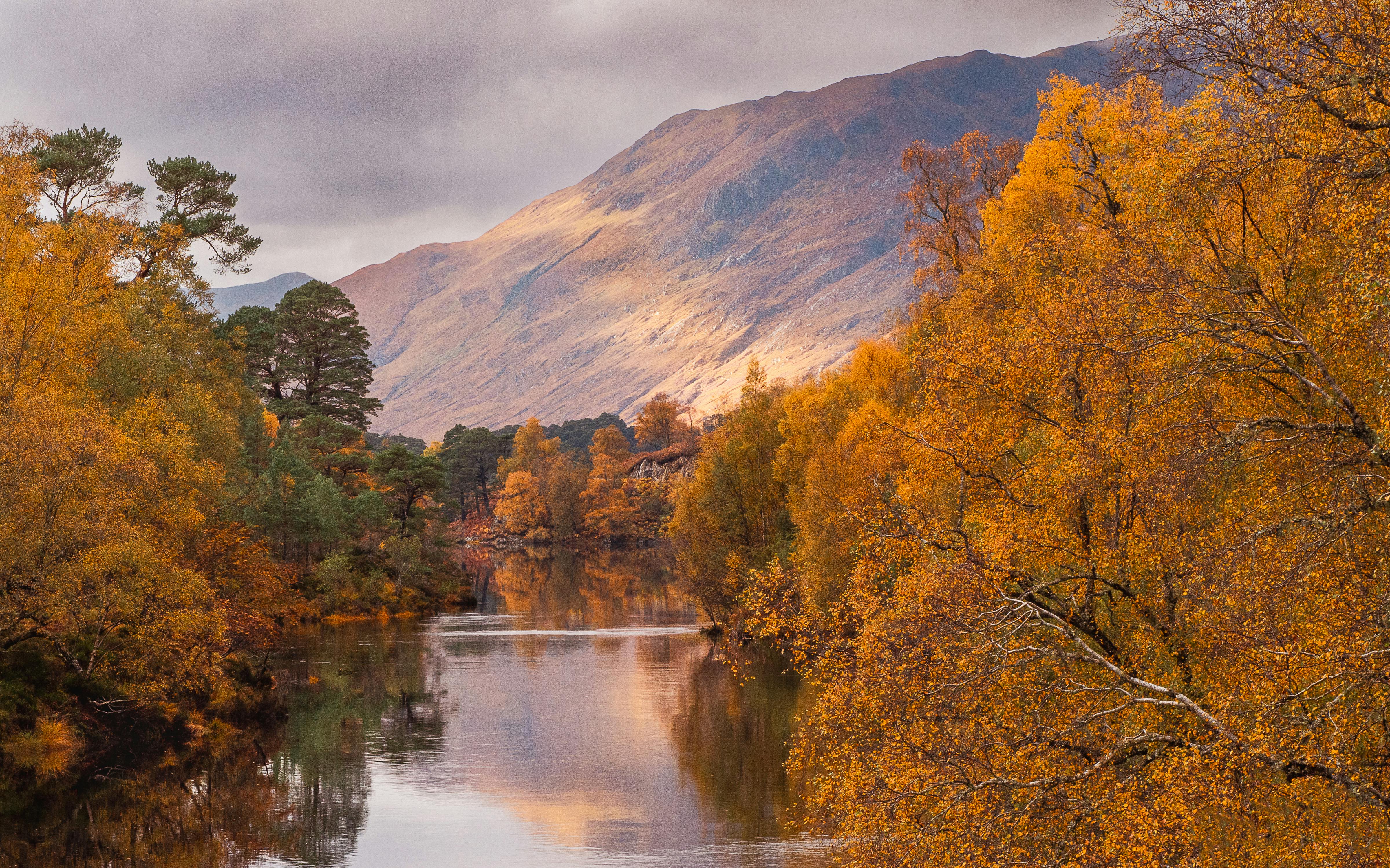 Fondo de Pantalla de pexels_29279449.jpg