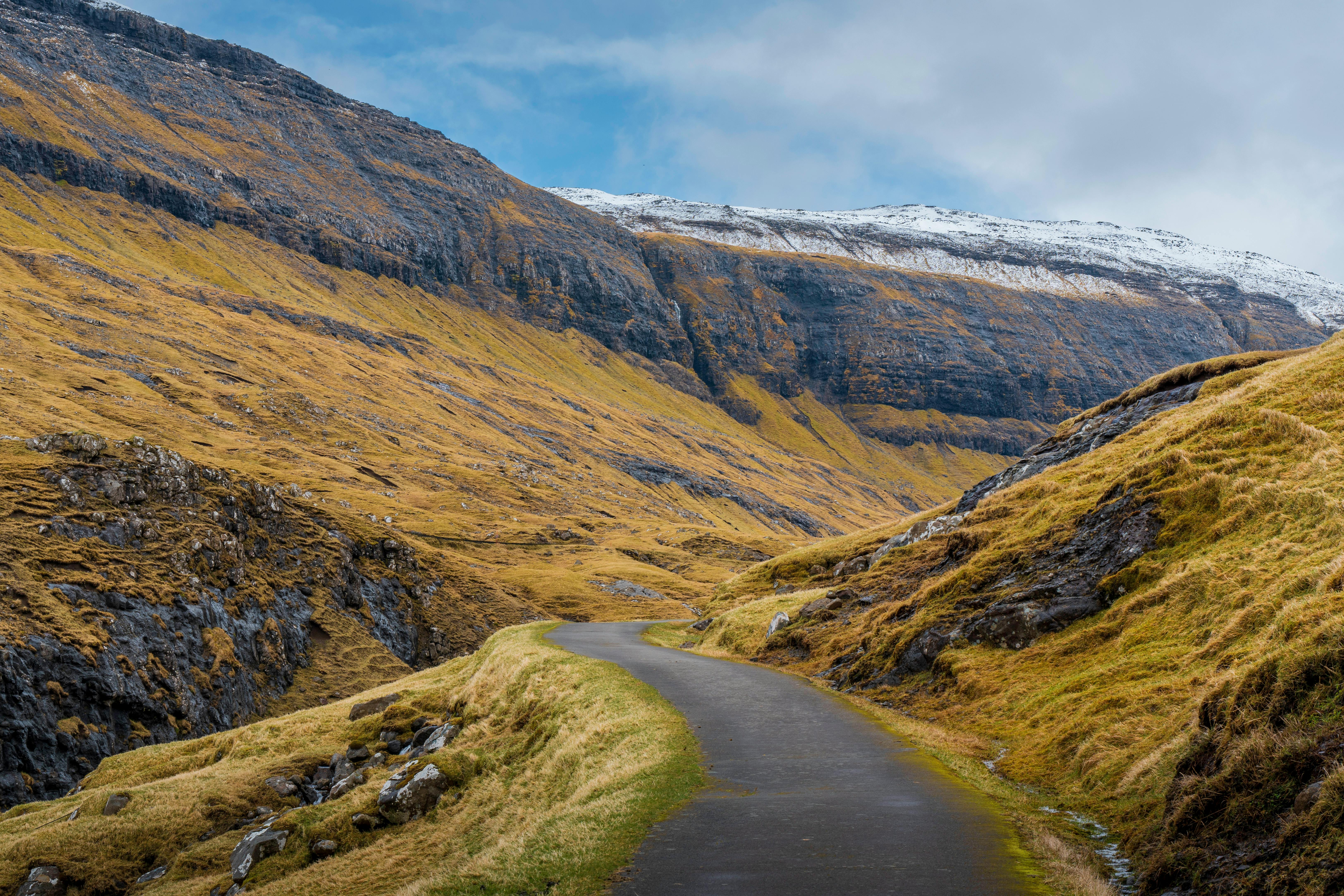 Fondo de Pantalla de pexels_29291188.jpg