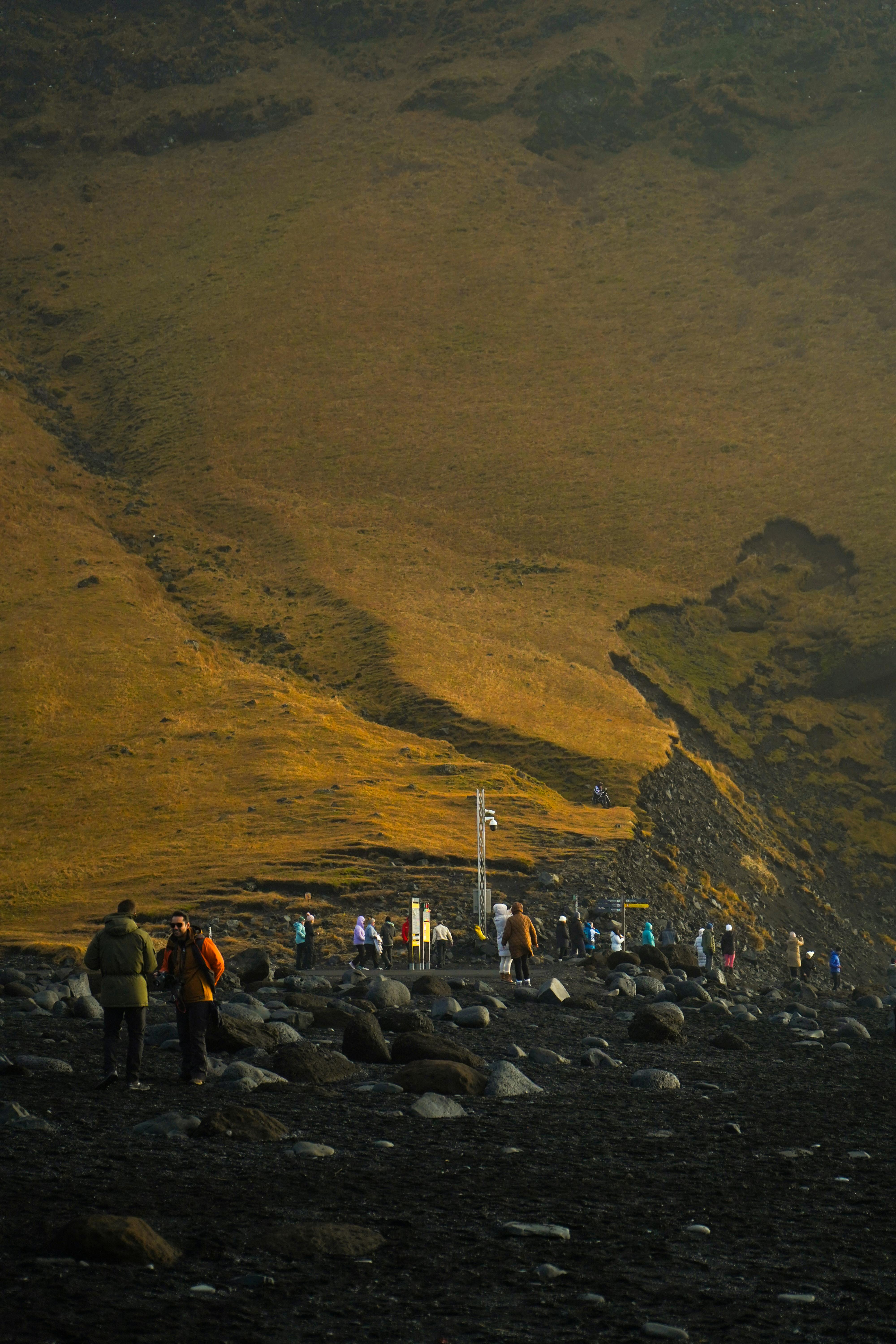 Fondo de Pantalla de pexels_29344020.jpg