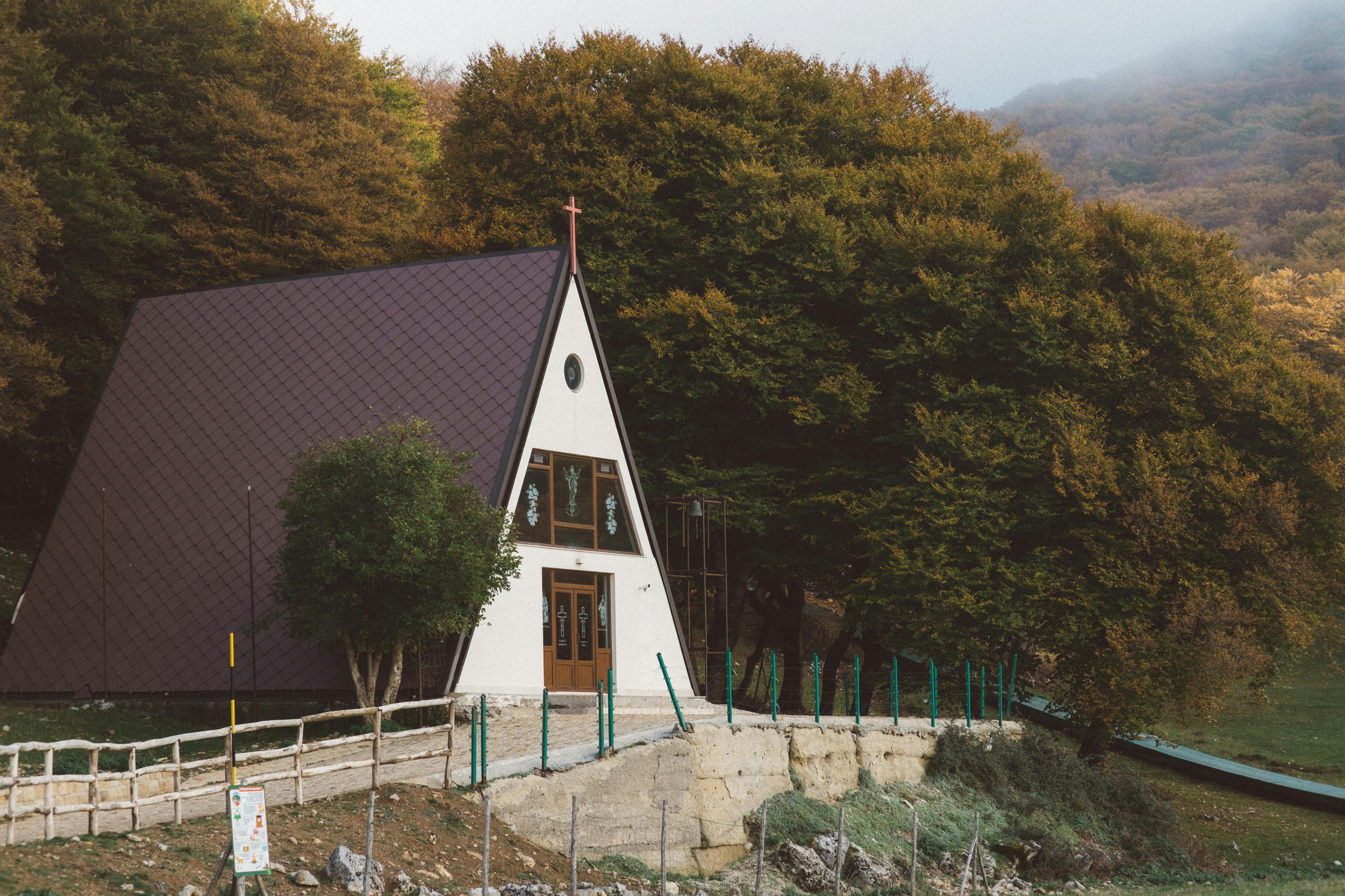 Fondo de Pantalla de pexels_29345981.jpg