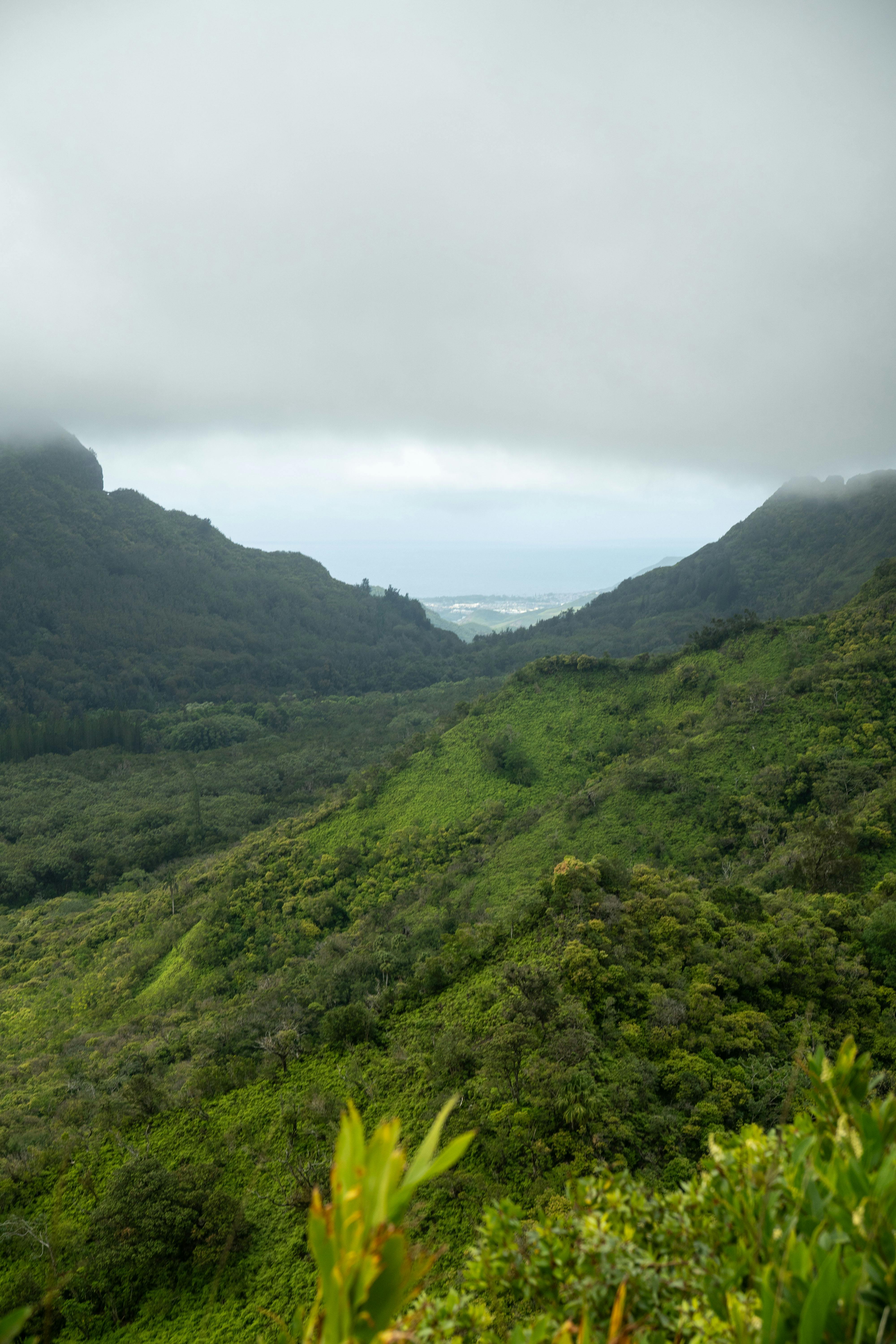 Fondo de Pantalla de pexels_29476035.jpg