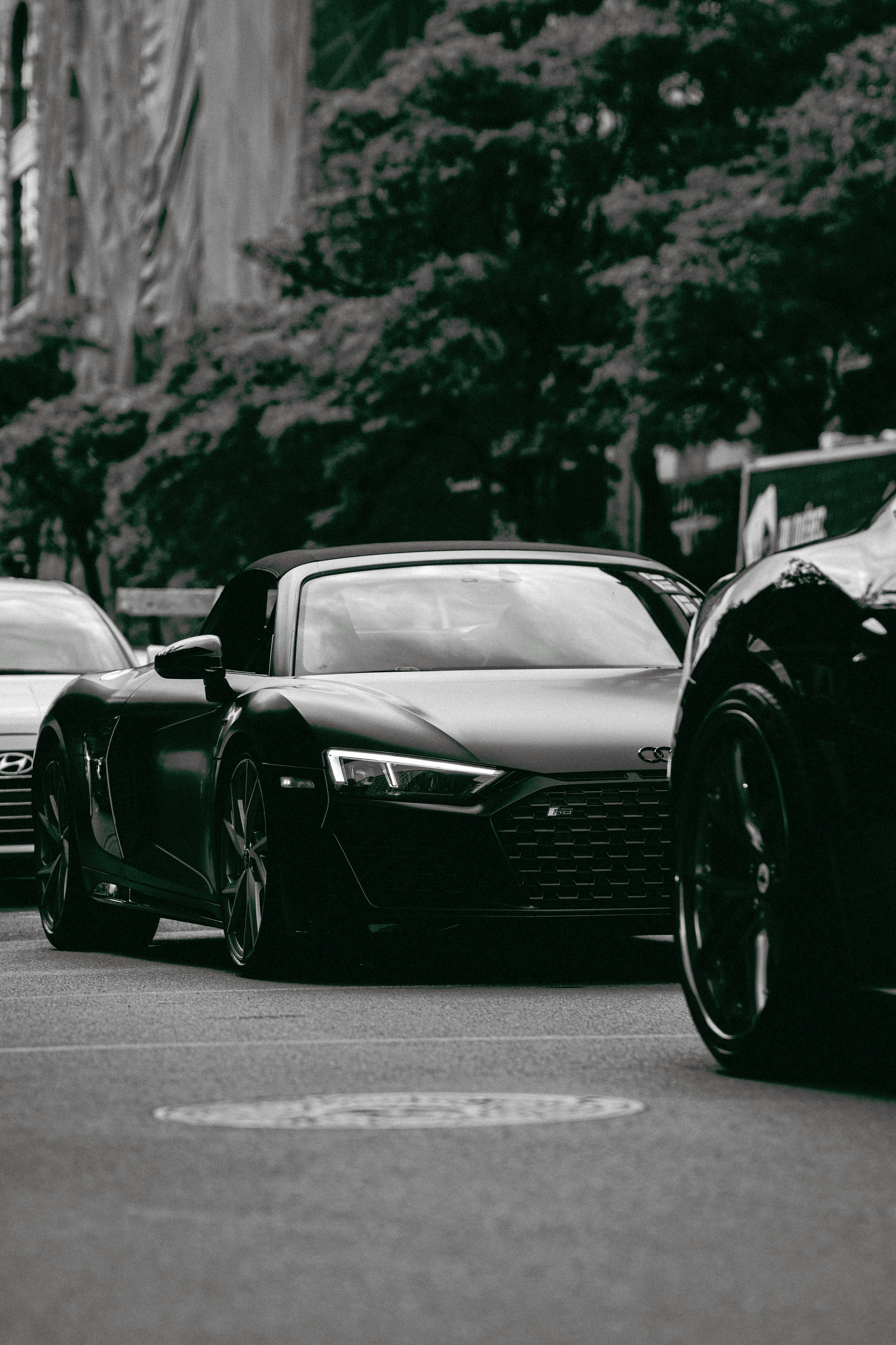 Fondo de Pantalla de pexels_29499504.jpg