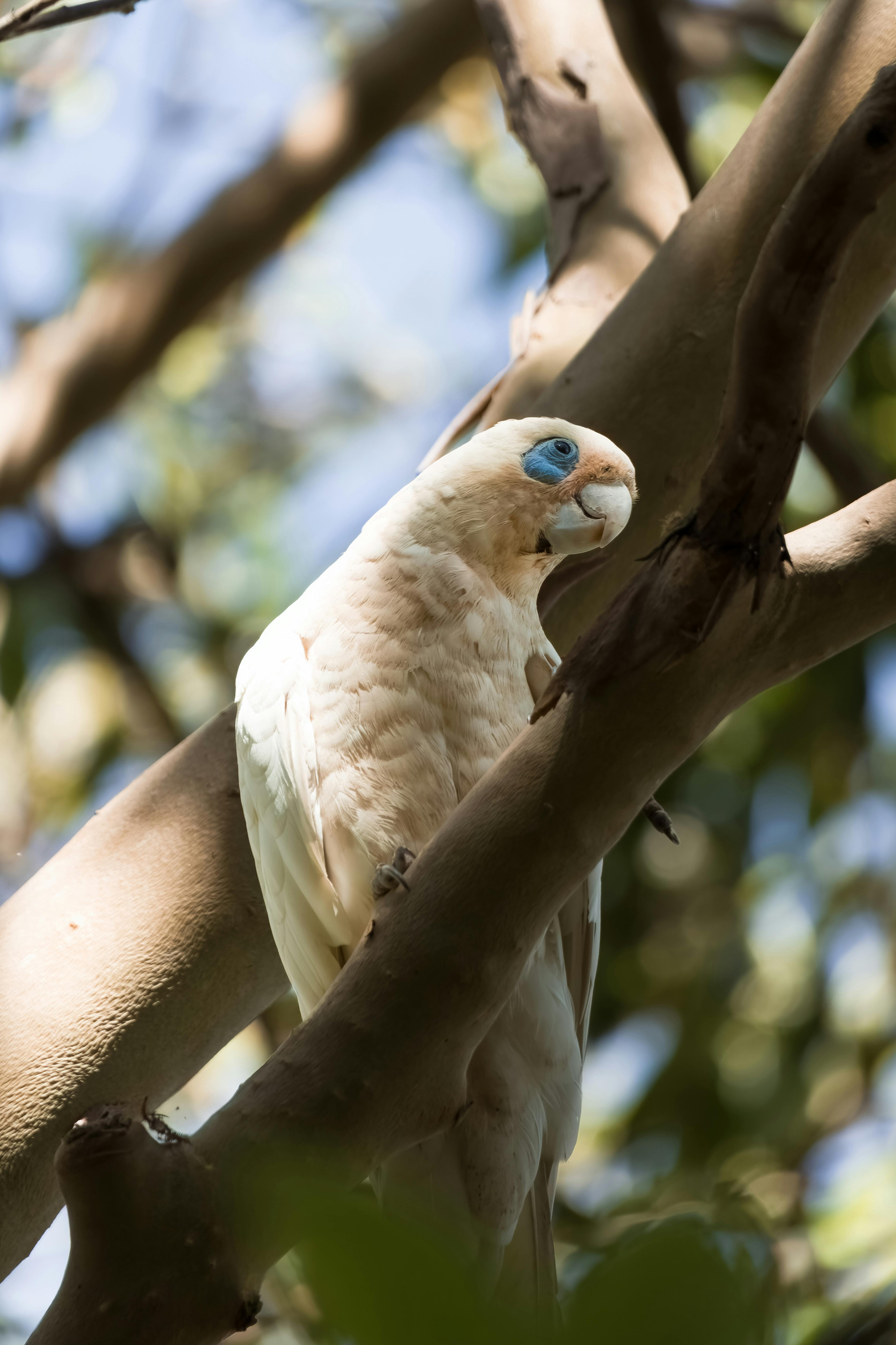 Fondo de Pantalla de pexels_29533232.jpg