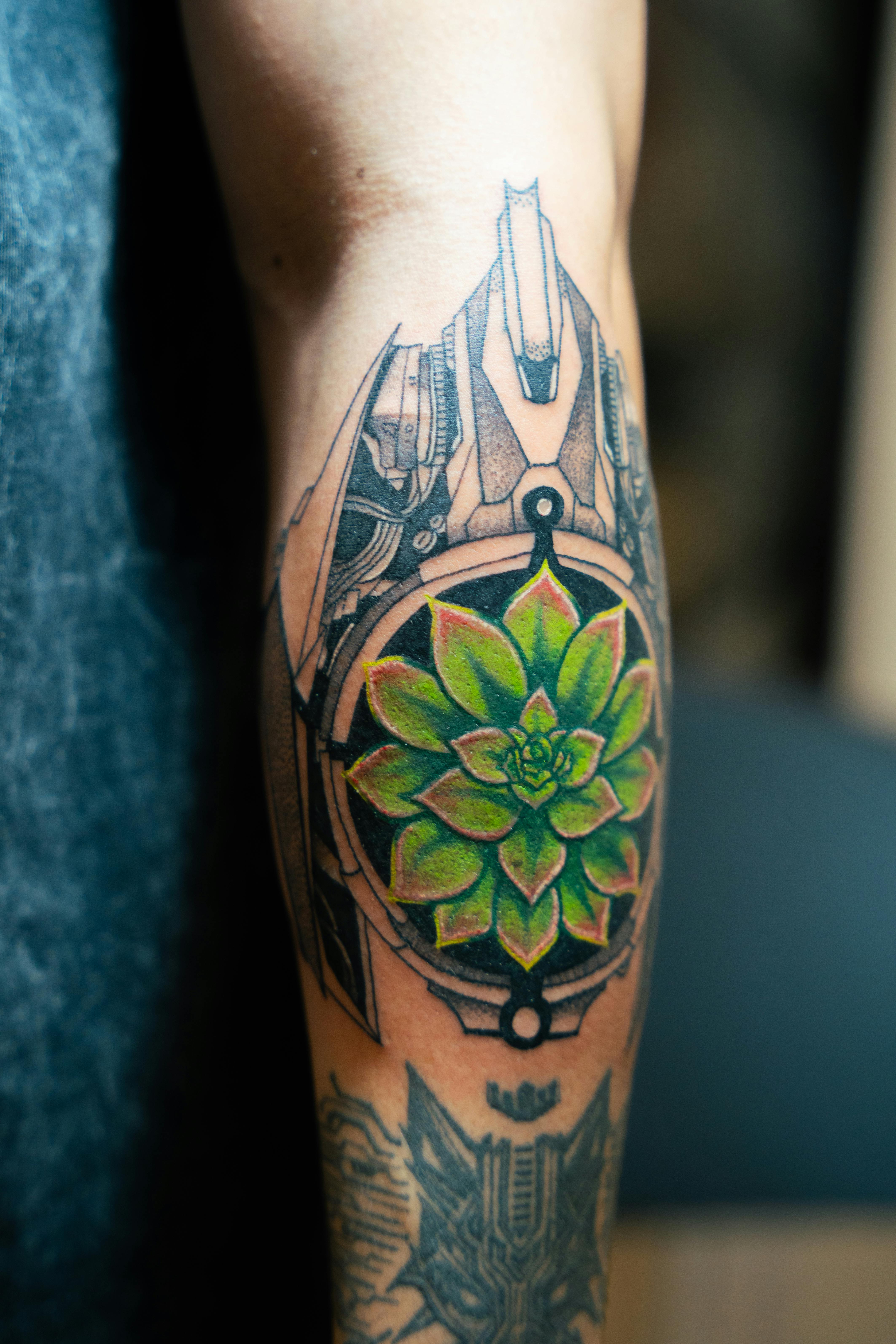 Fondo de Pantalla de pexels_29547856.jpg