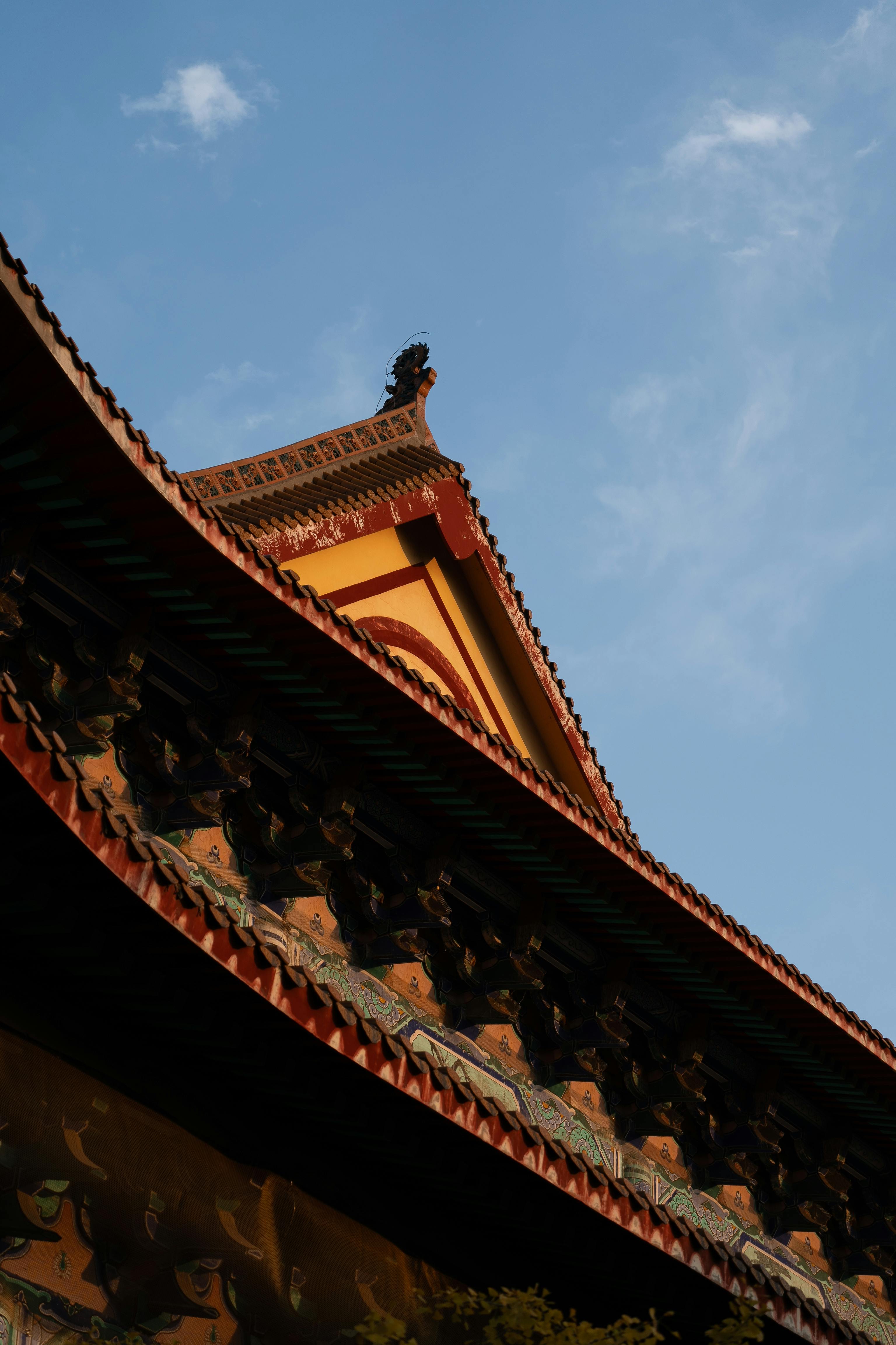 Fondo de Pantalla de pexels_29606794.jpg