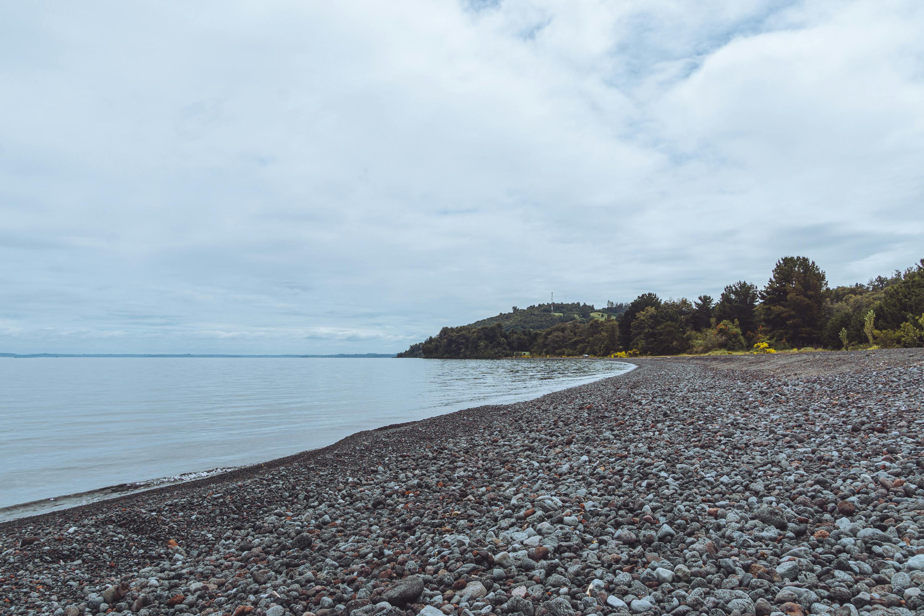 Fondo de Pantalla de pexels_29713715.jpg