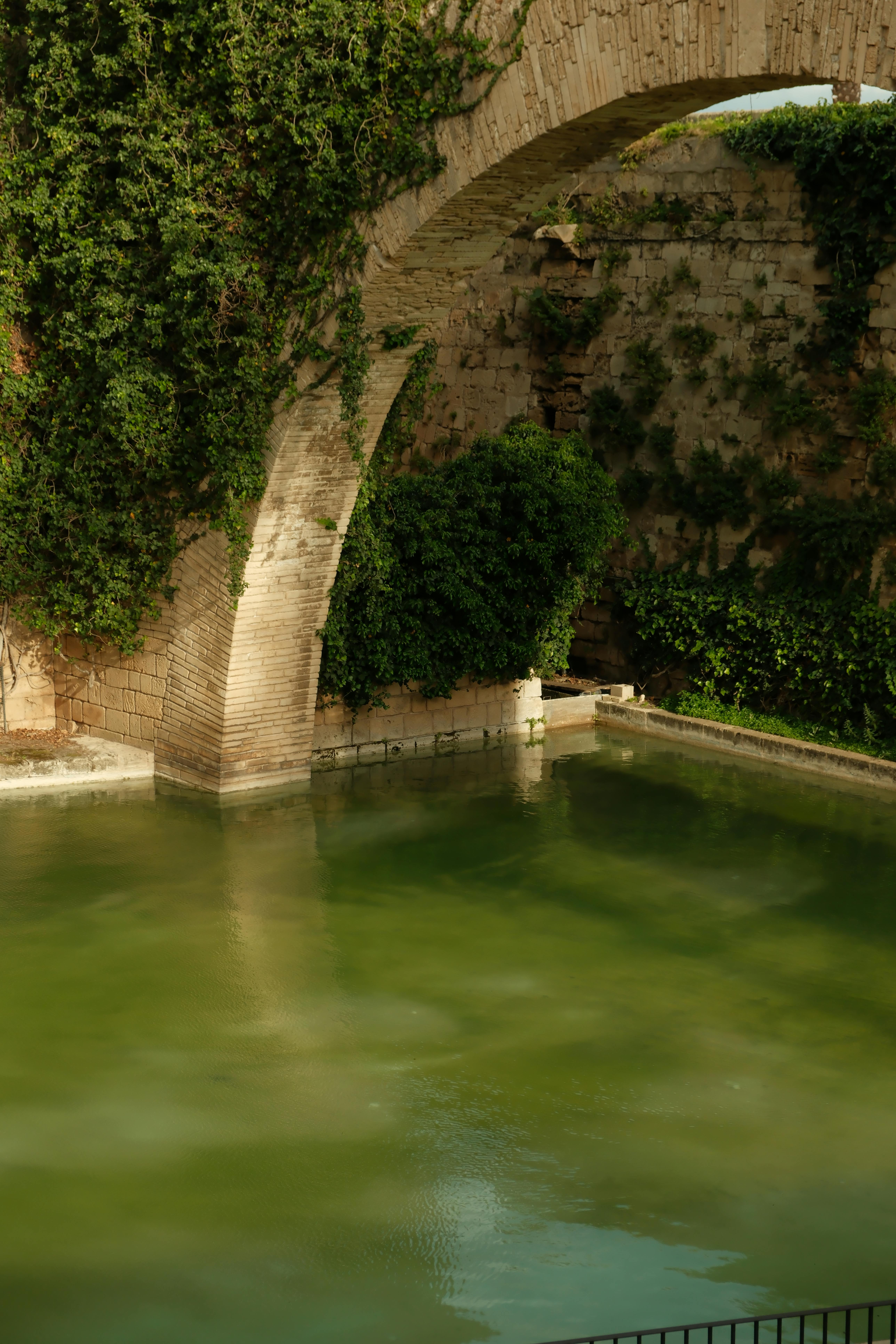 Fondo de Pantalla de pexels_29833410.jpg