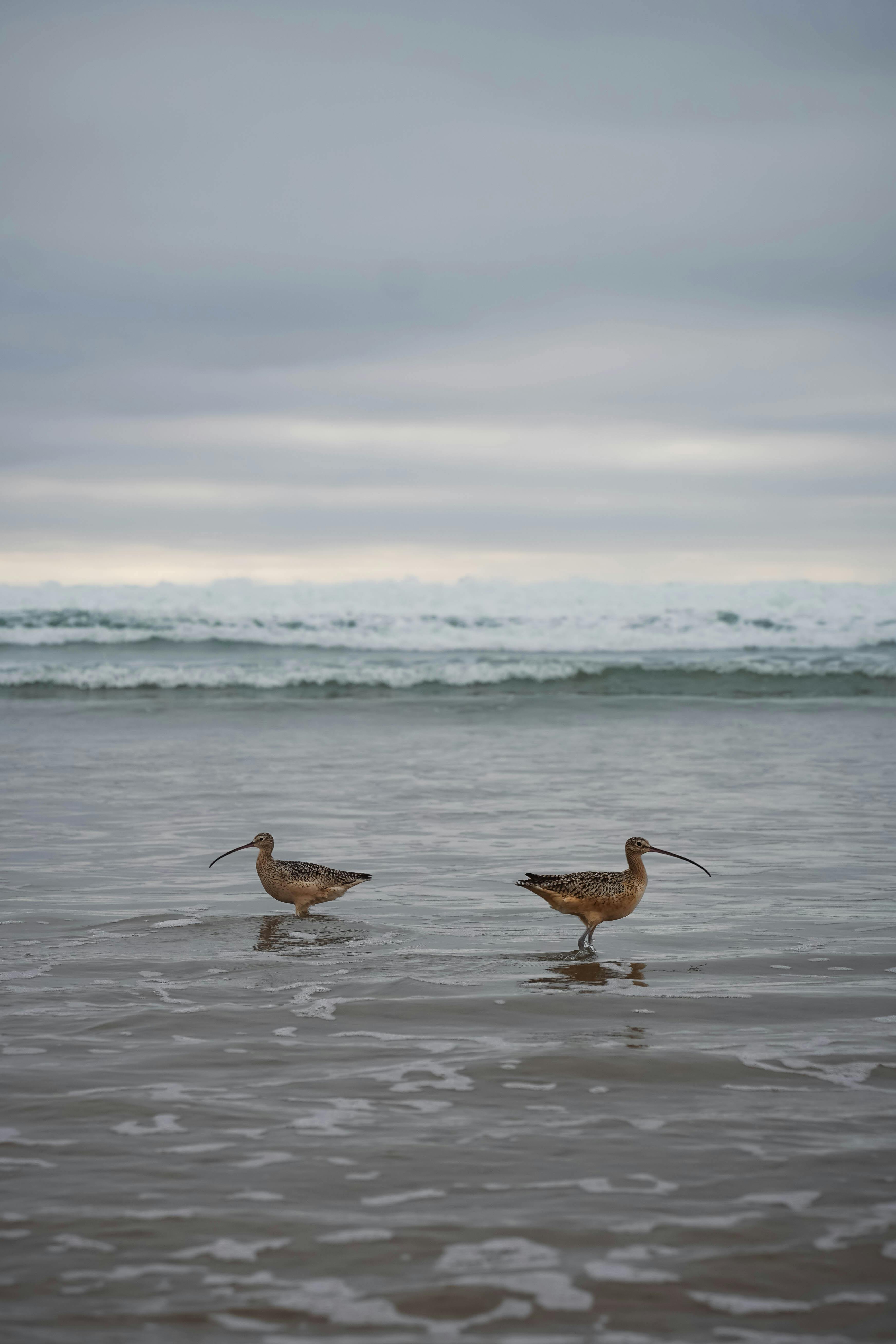 Fondo de Pantalla de pexels_29867474.jpg