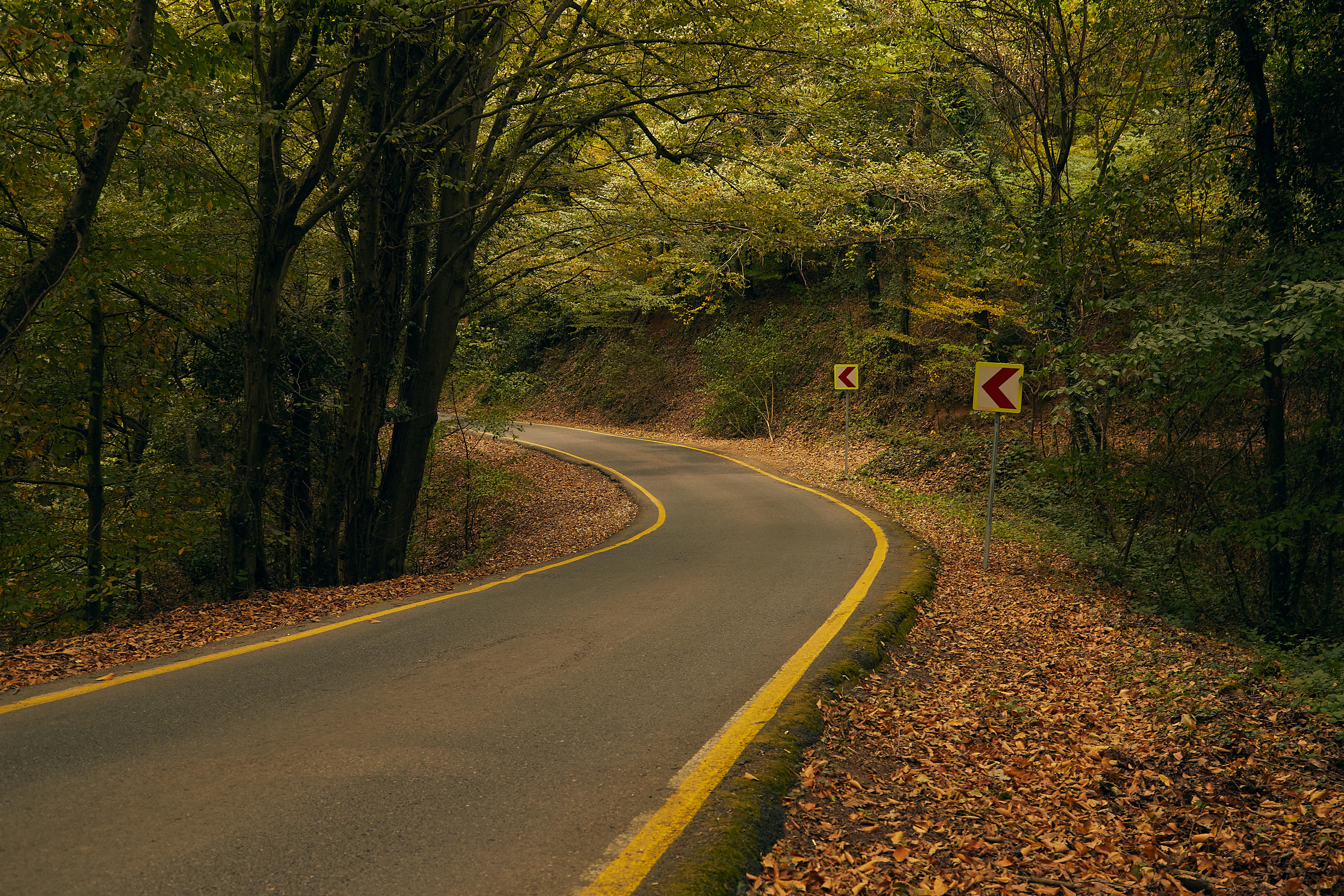 Fondo de Pantalla de pexels_29959511.jpg