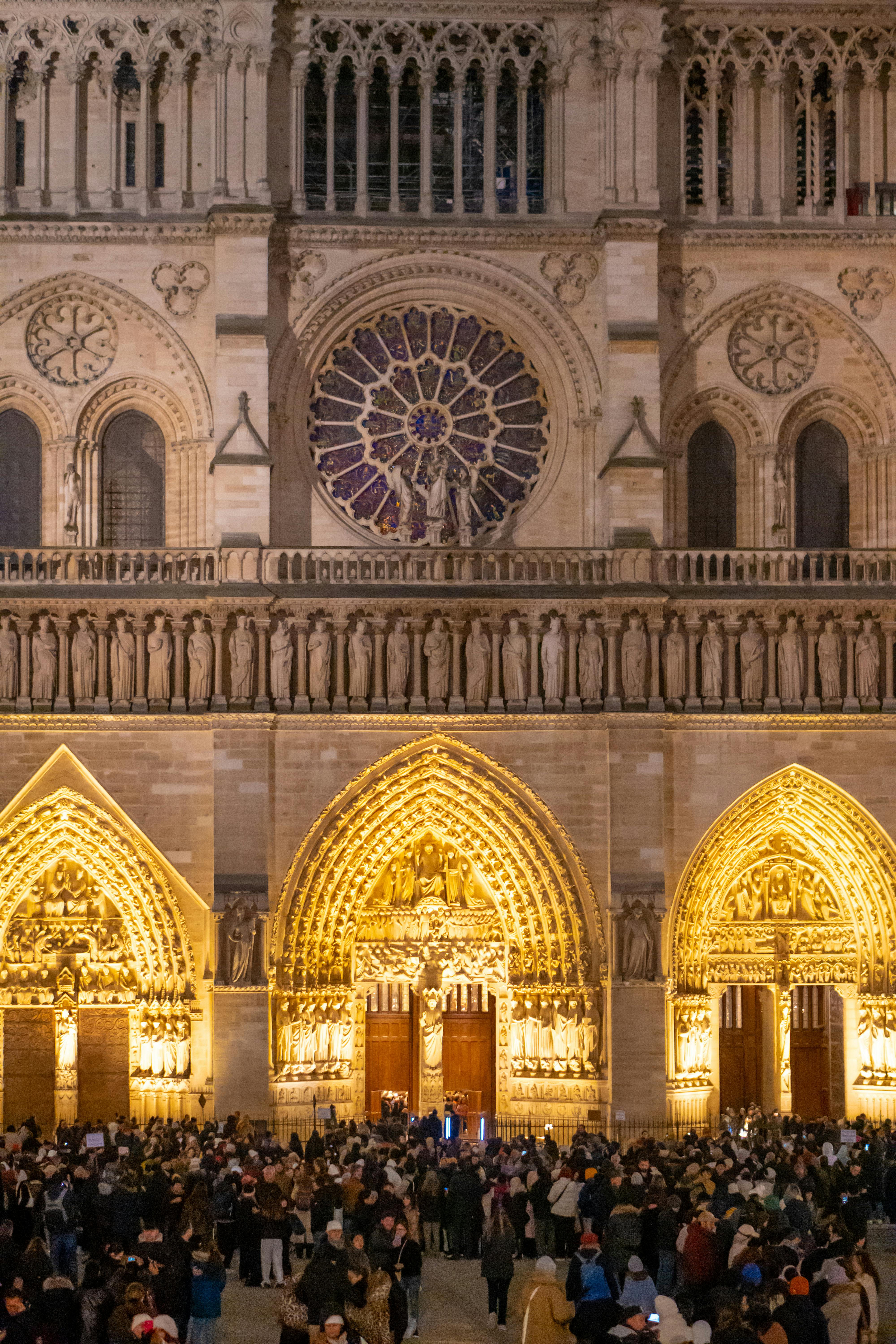 Fondo de Pantalla de pexels_30050875.jpg